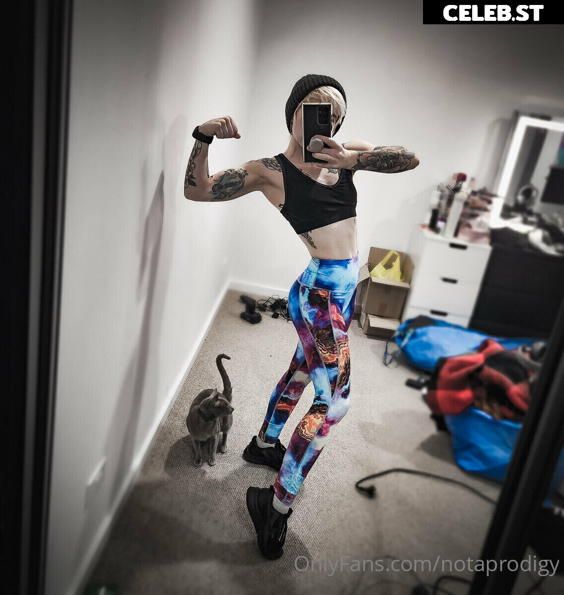 Notaprodigy Image 3713162
