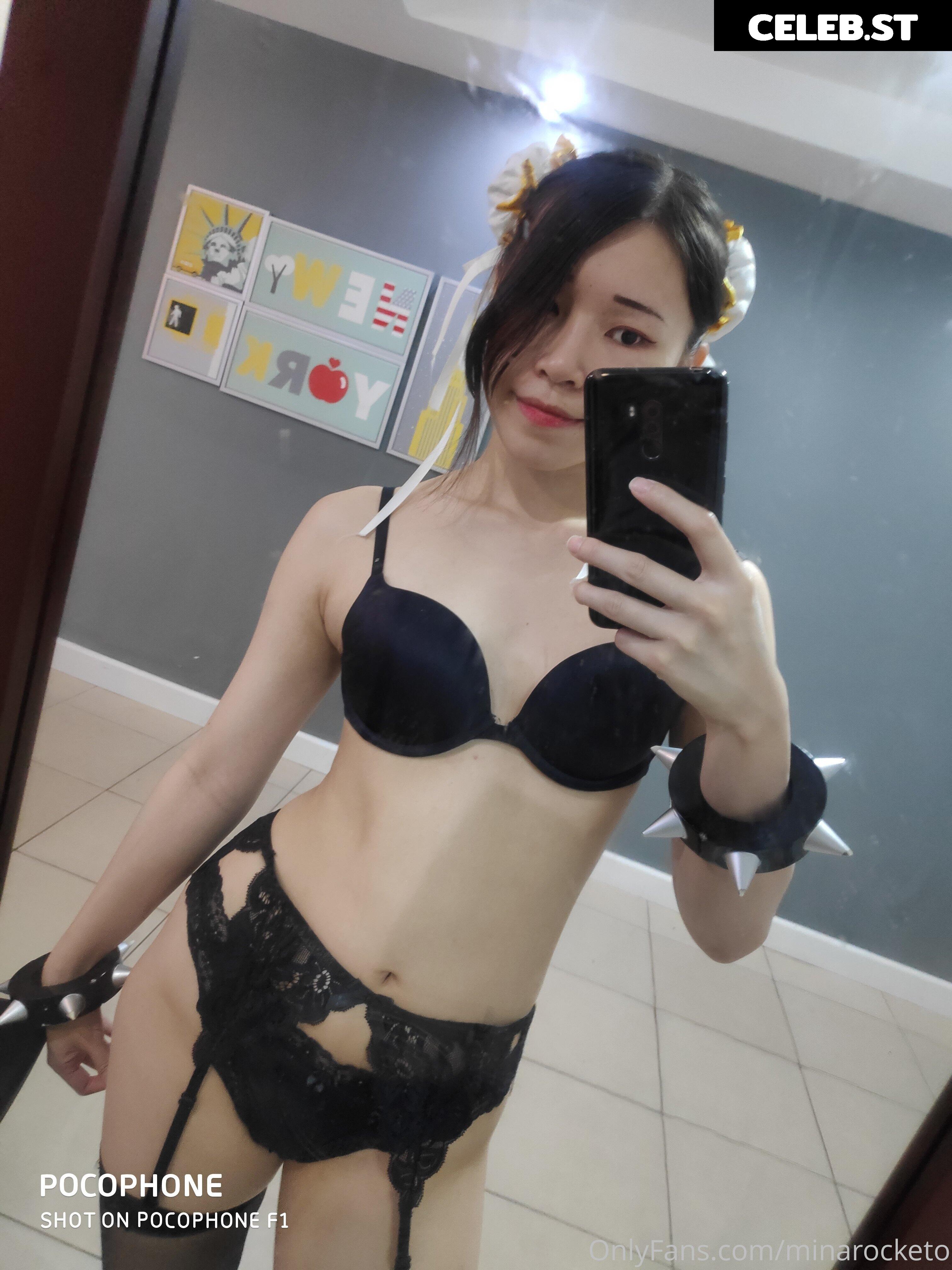 Minarocket Image 3701077