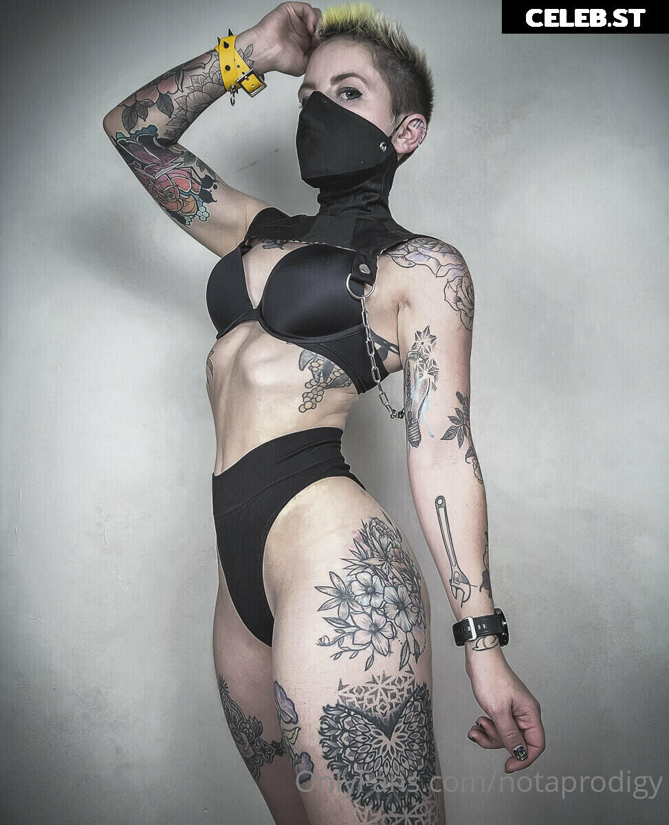 Notaprodigy Image 3708019