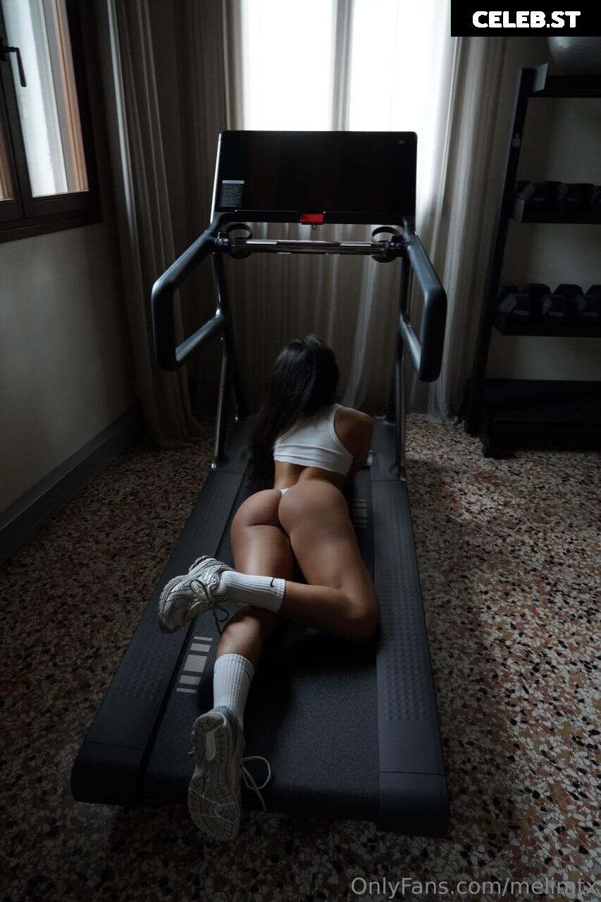 MelimTX Image 3086481