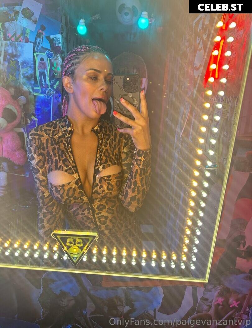 Paige VanZant Image 3087535