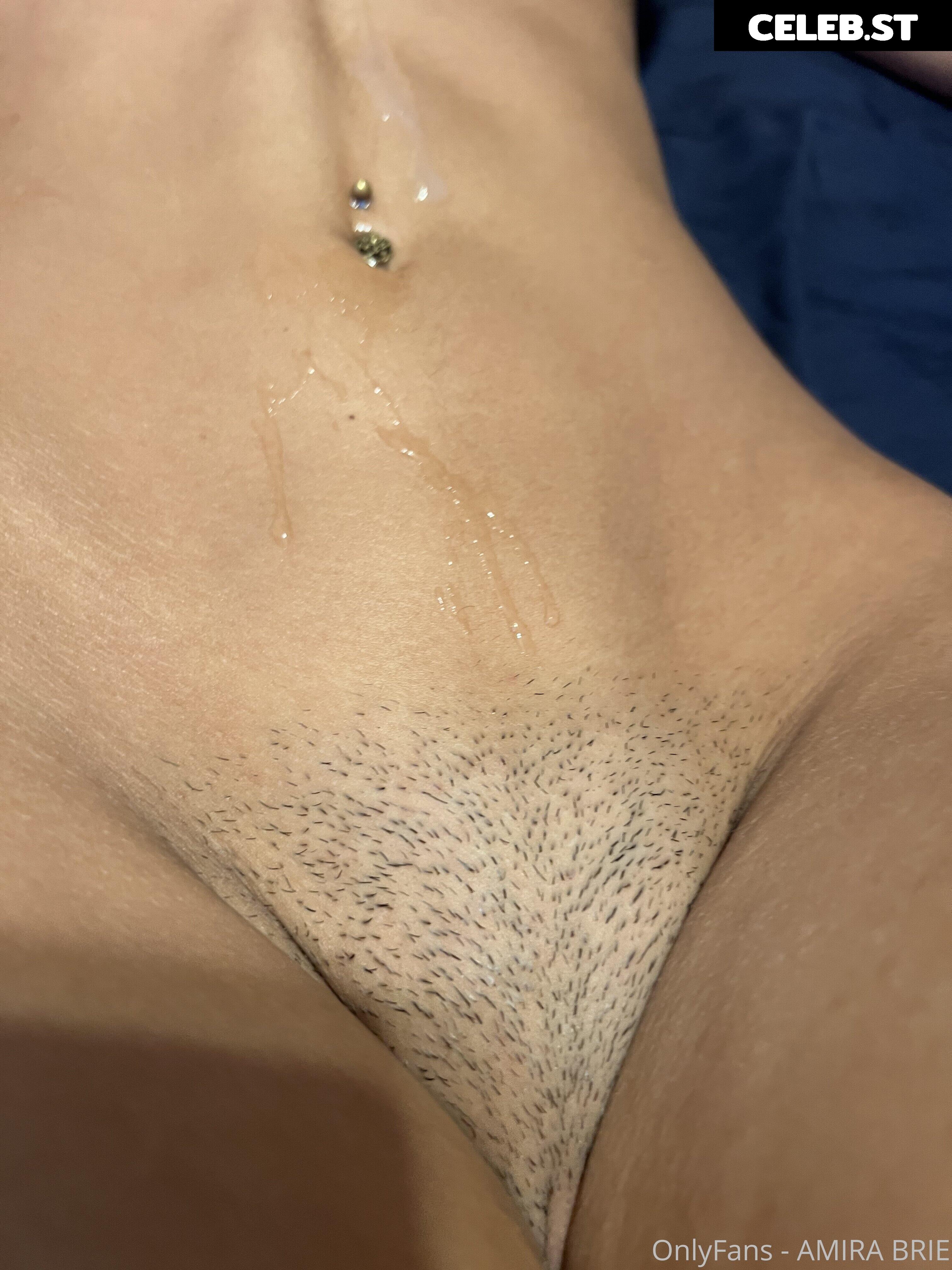 Amira Brie Image 3087251