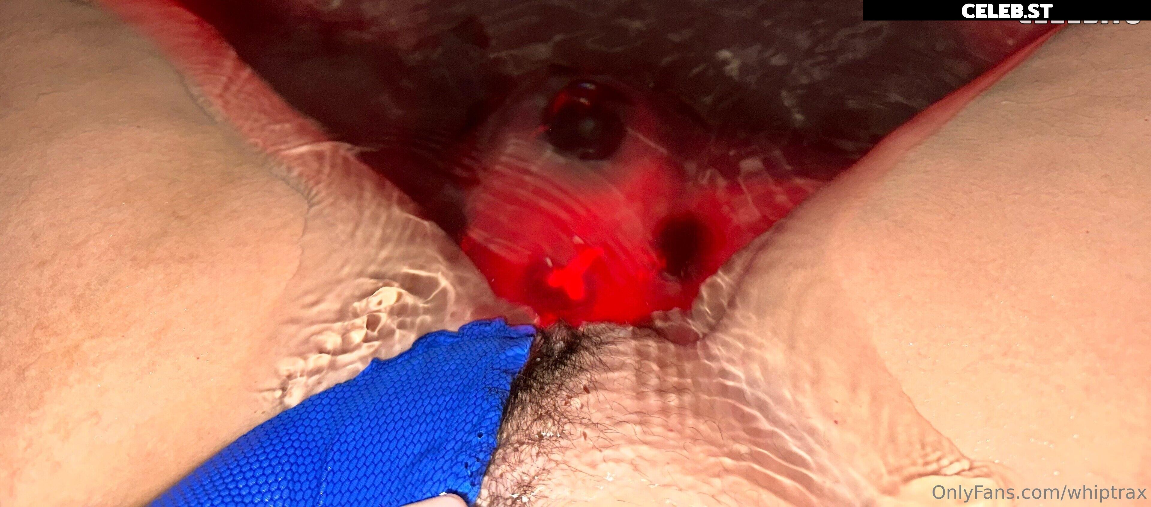 Whiptrax Image 3084465