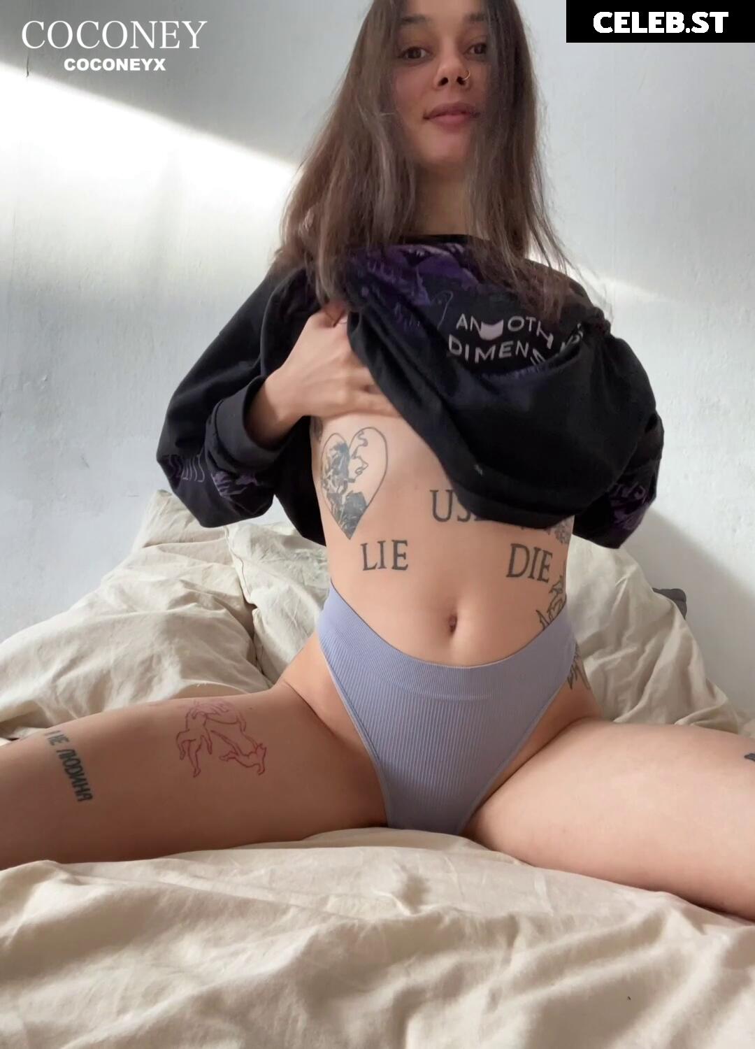 Coconey Image 3088529