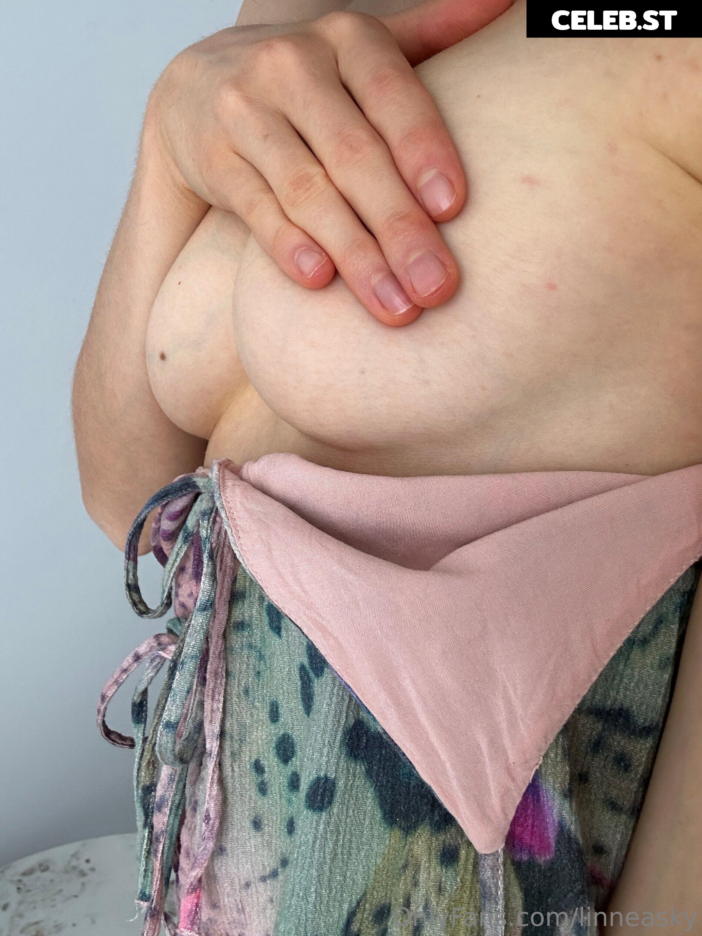 Linneasky Image 3065715