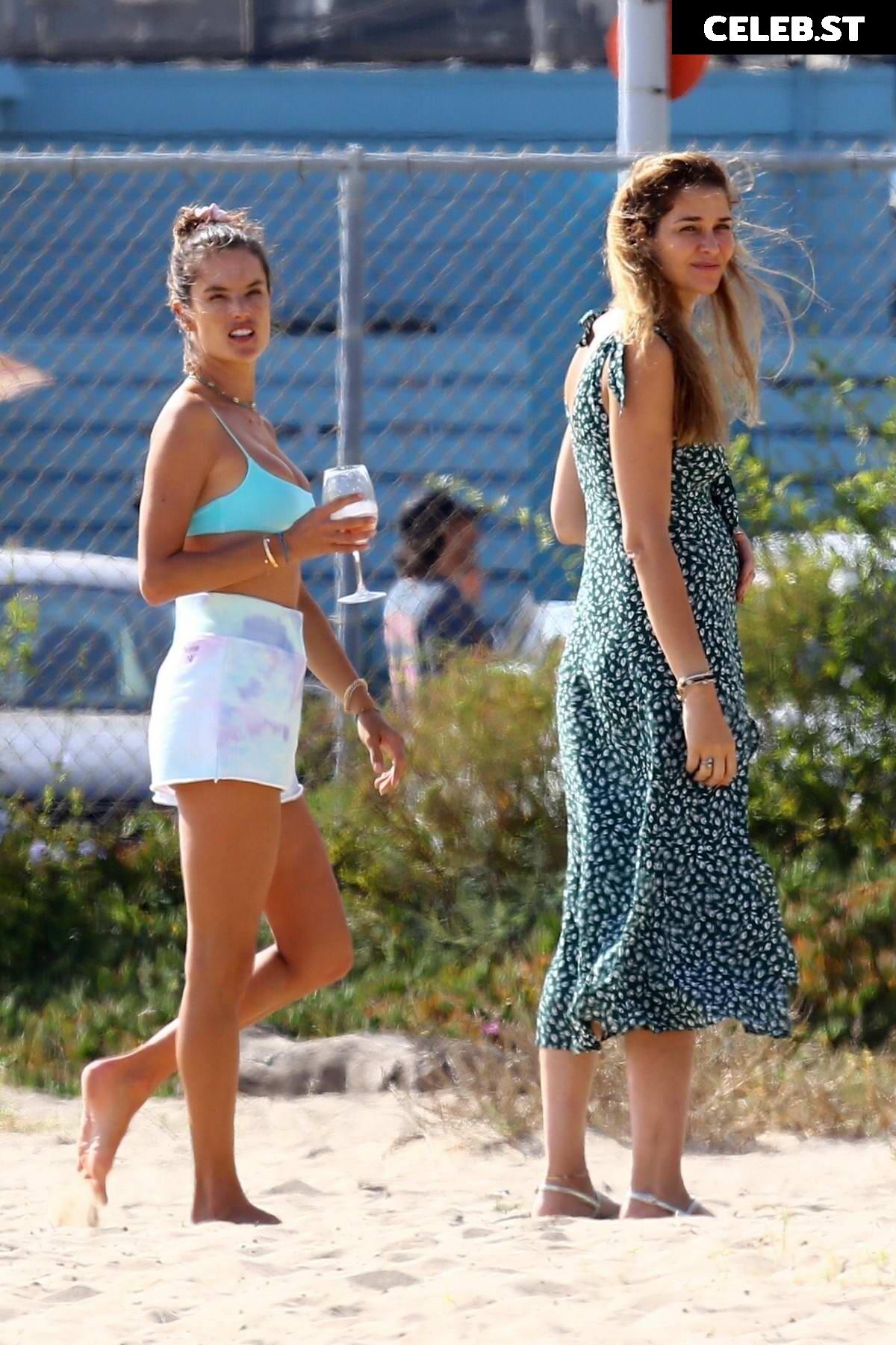 Alessandra Ambrosio Image 3058124