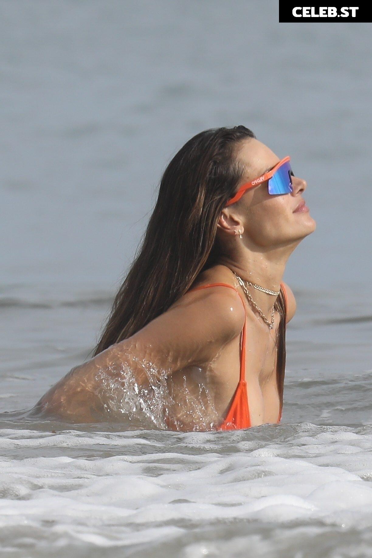 Alessandra Ambrosio Image 3058065