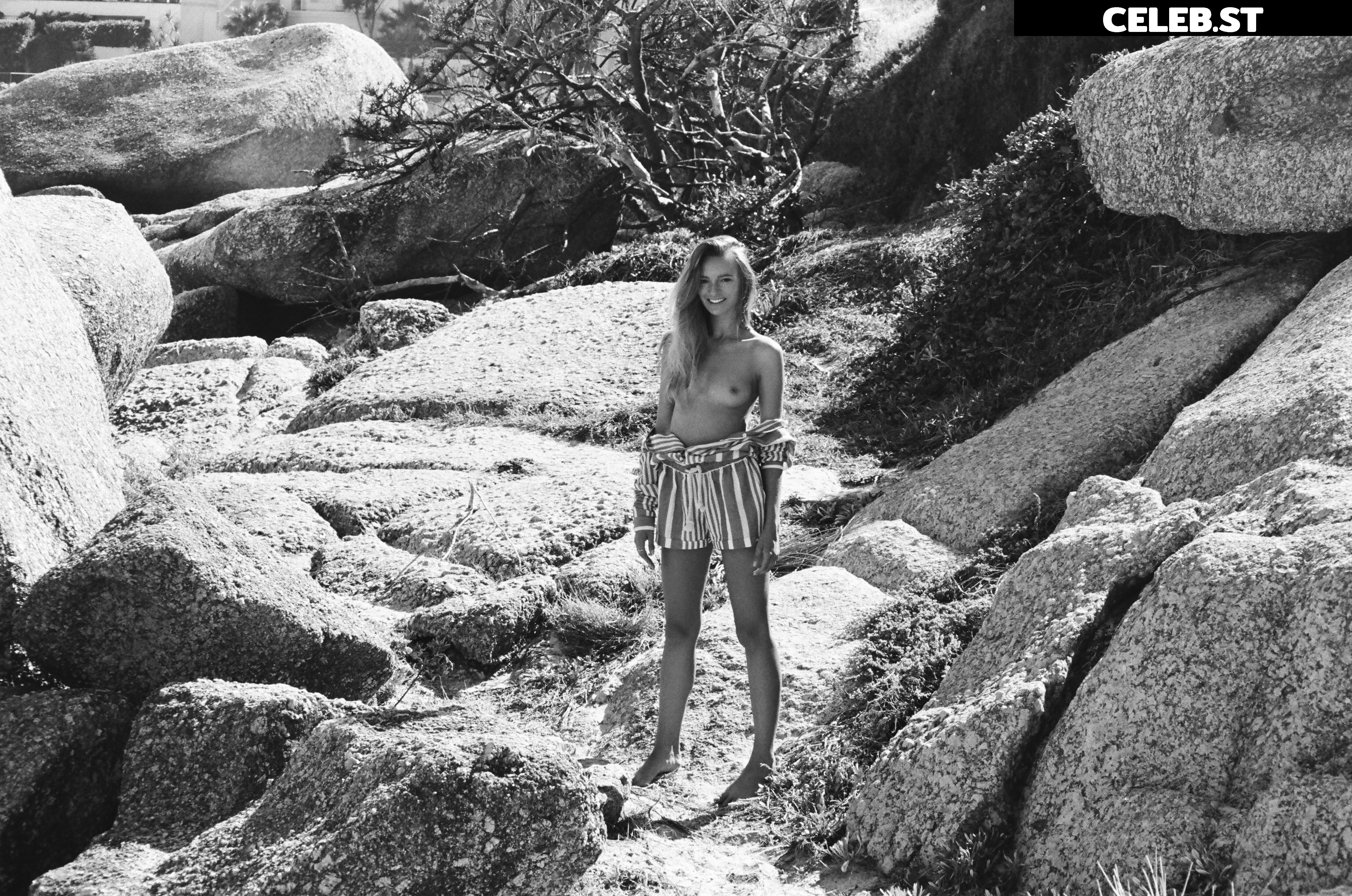 Maya Stepper Image 3040853