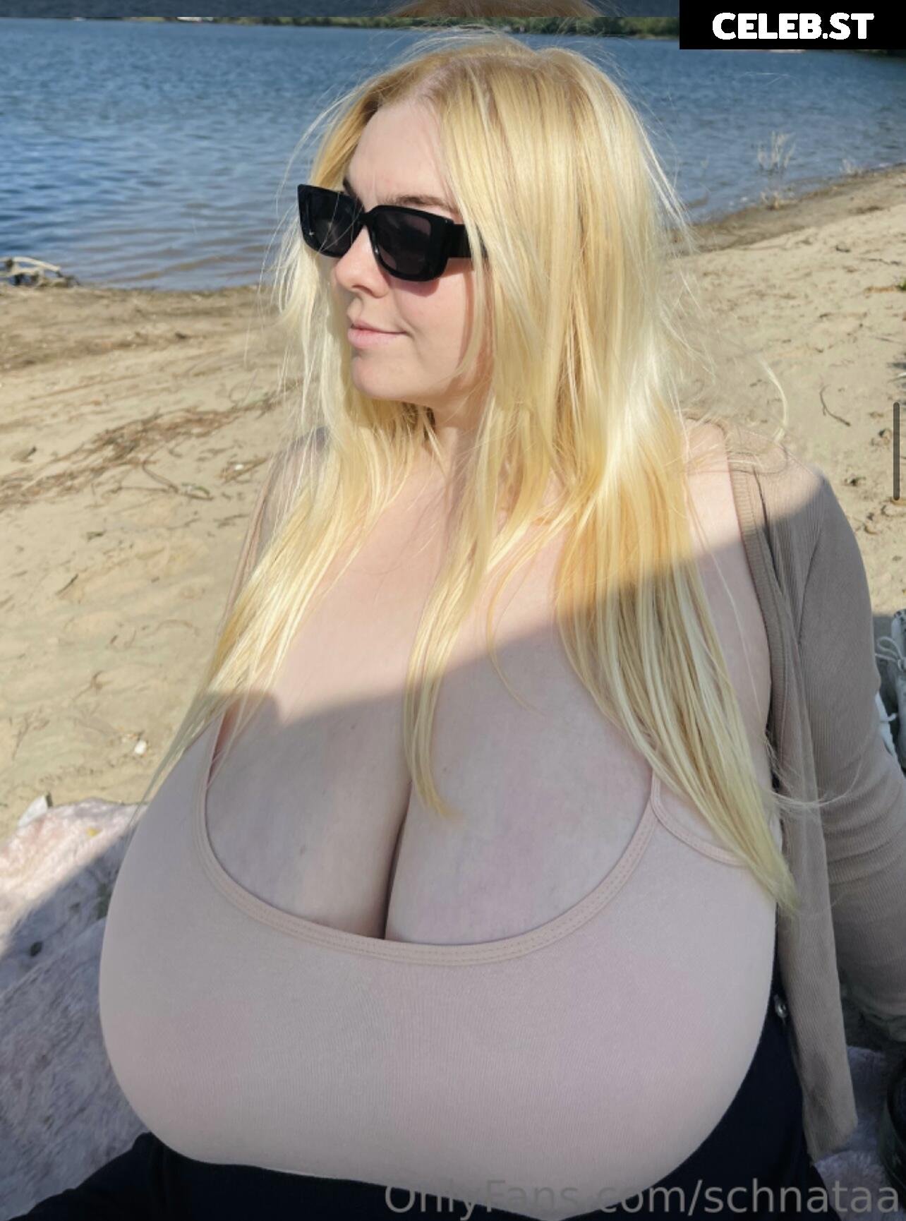 Schnataa Image 3035634