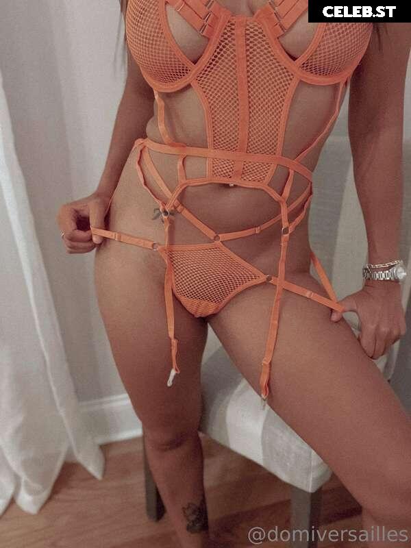 Domi Versailles Image 3035125