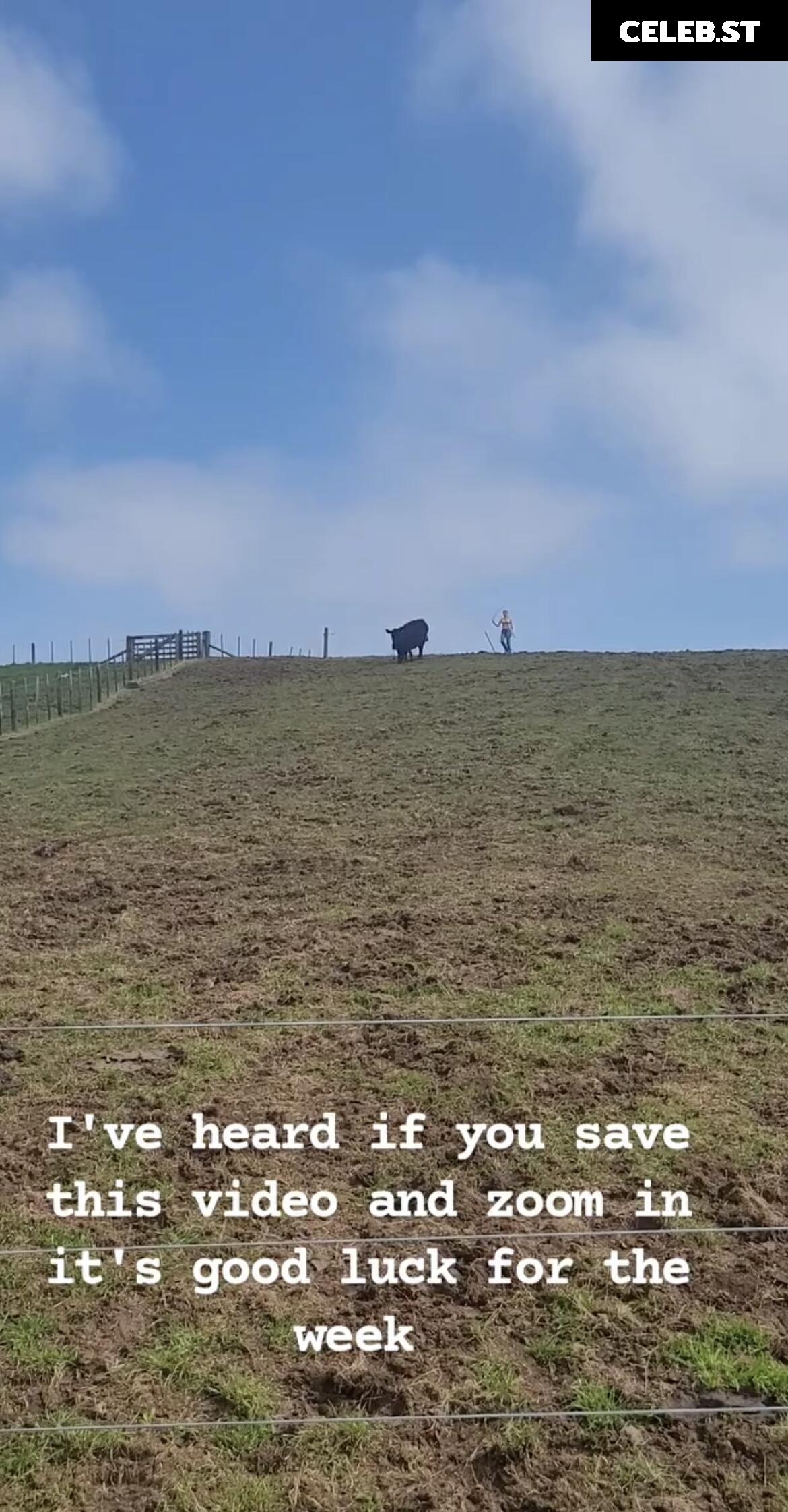 Lacy Larson Image 303228