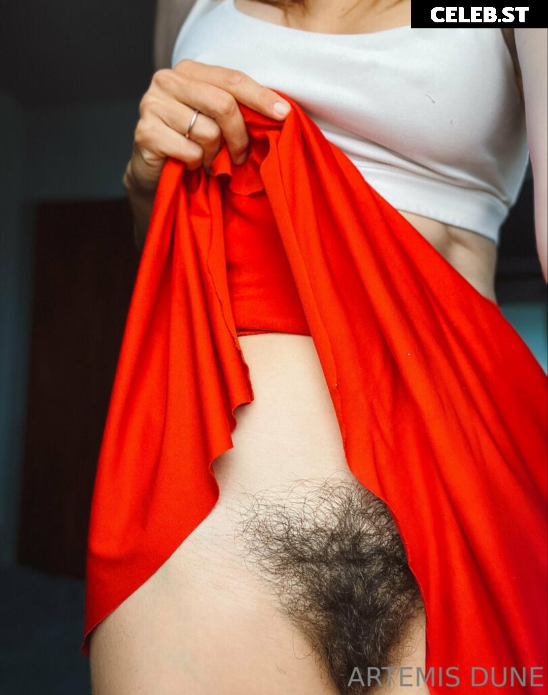 ArtemisDune Image 302754