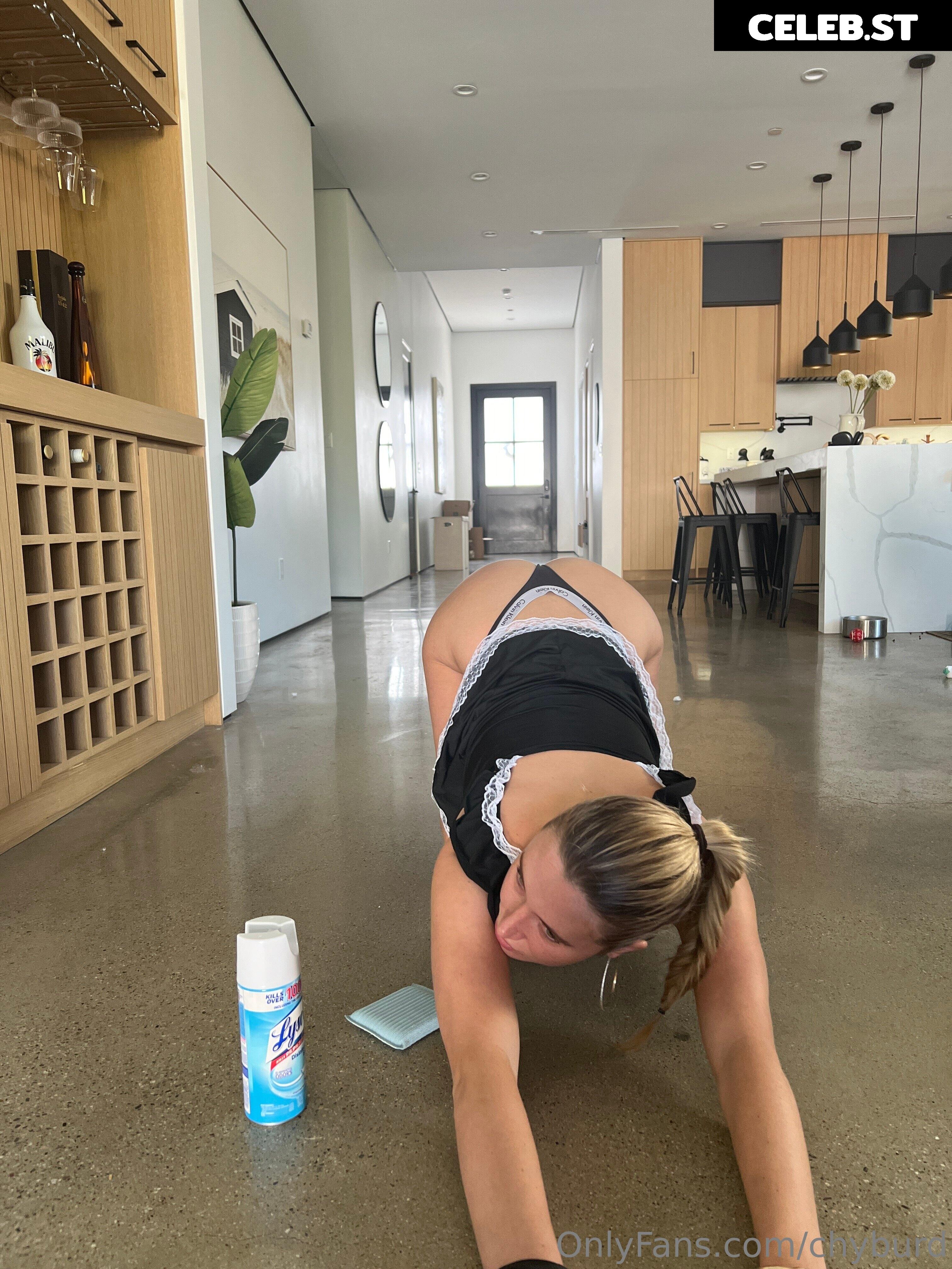 chyburd Image 3022483