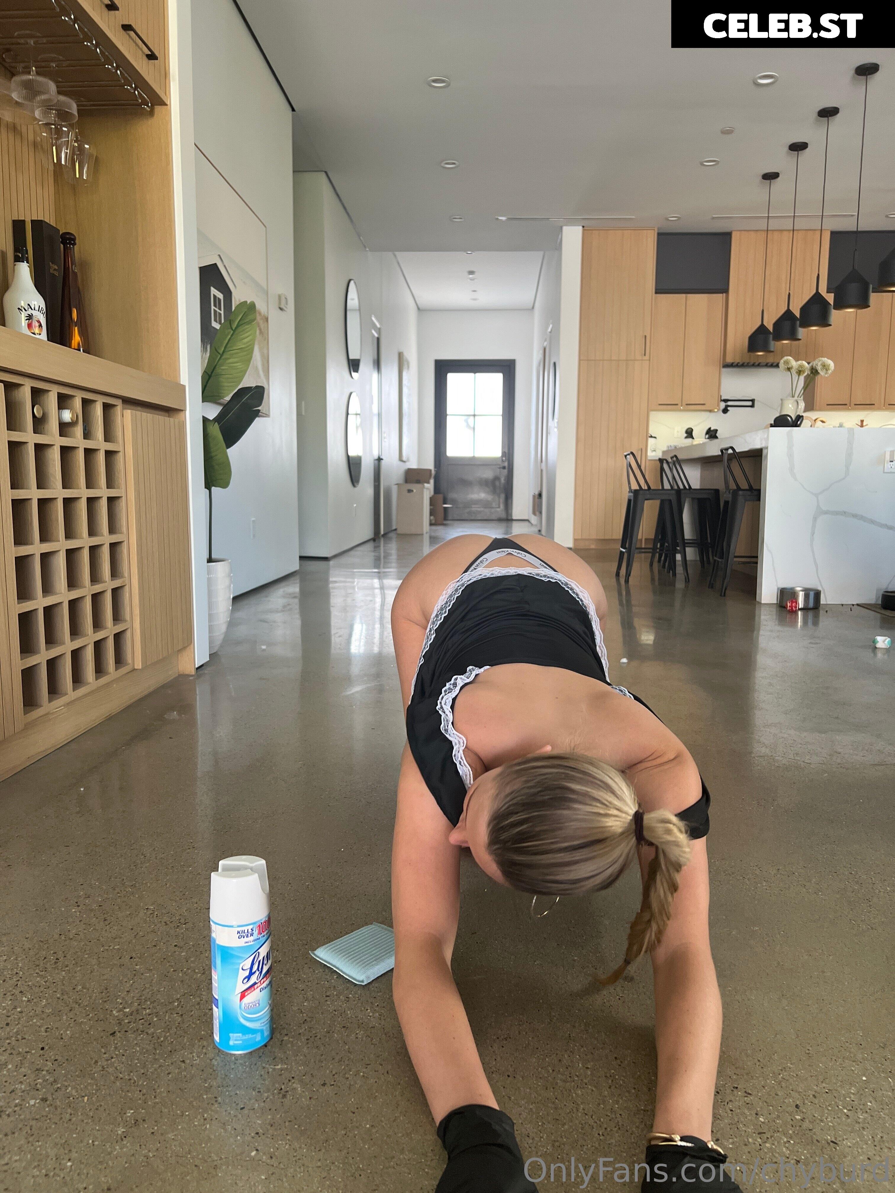 chyburd Image 3022668