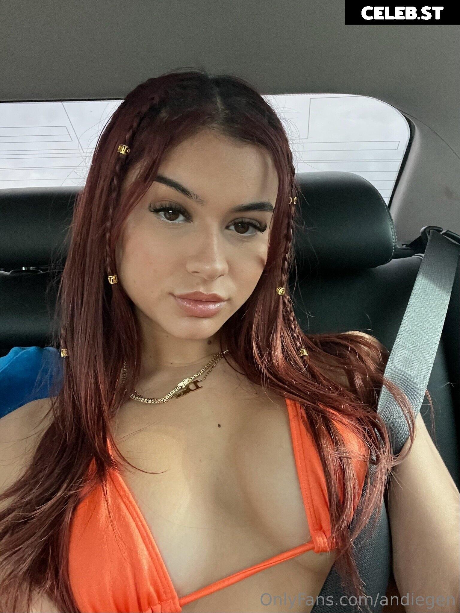 Andiegen Image 3023456