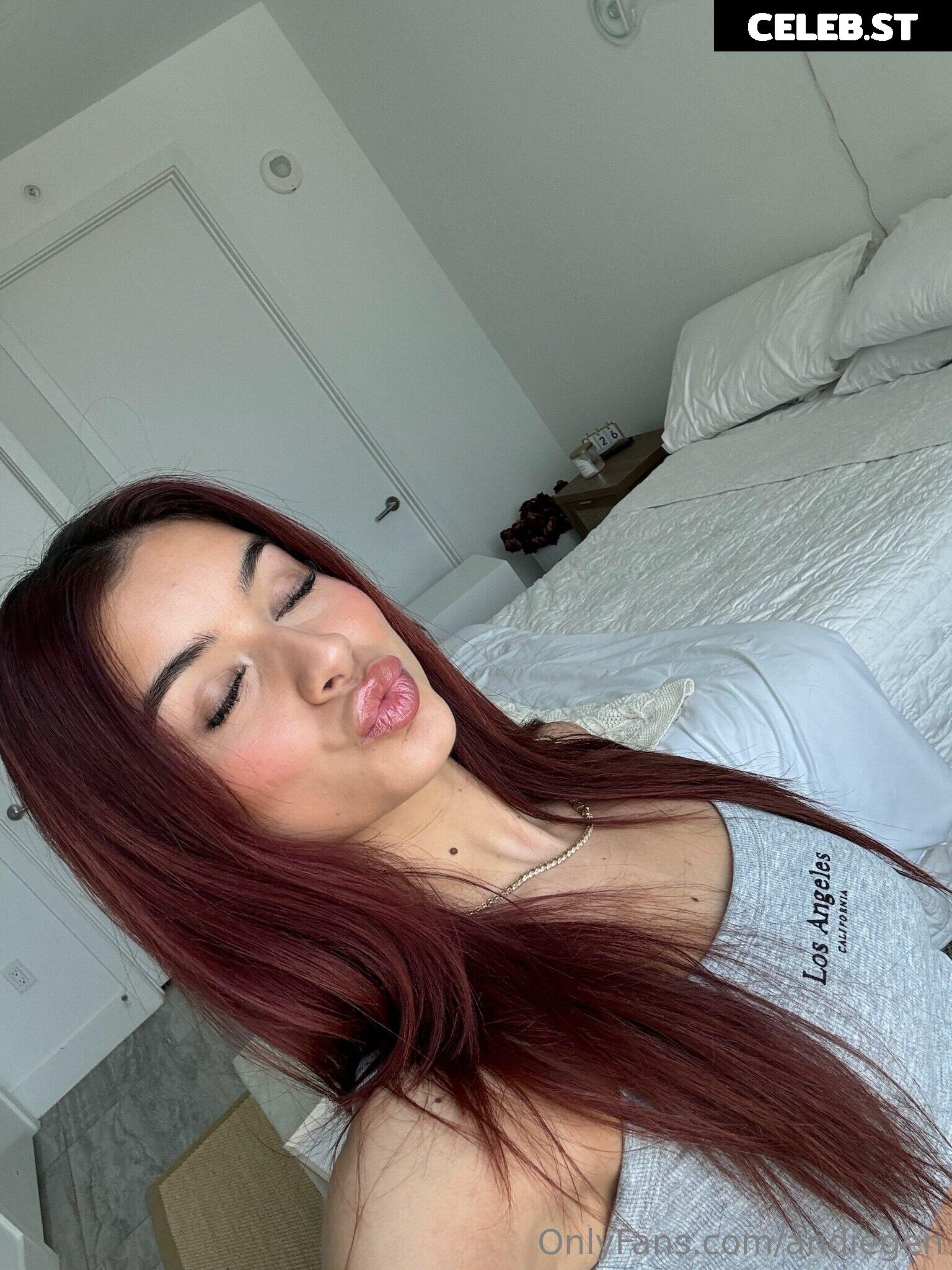 Andiegen Image 3023062