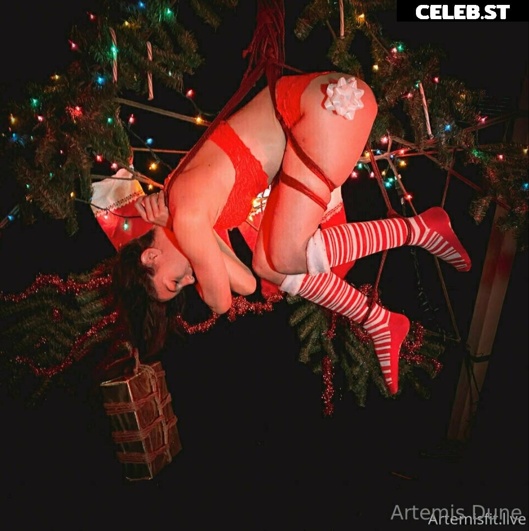 ArtemisDune Image 302085