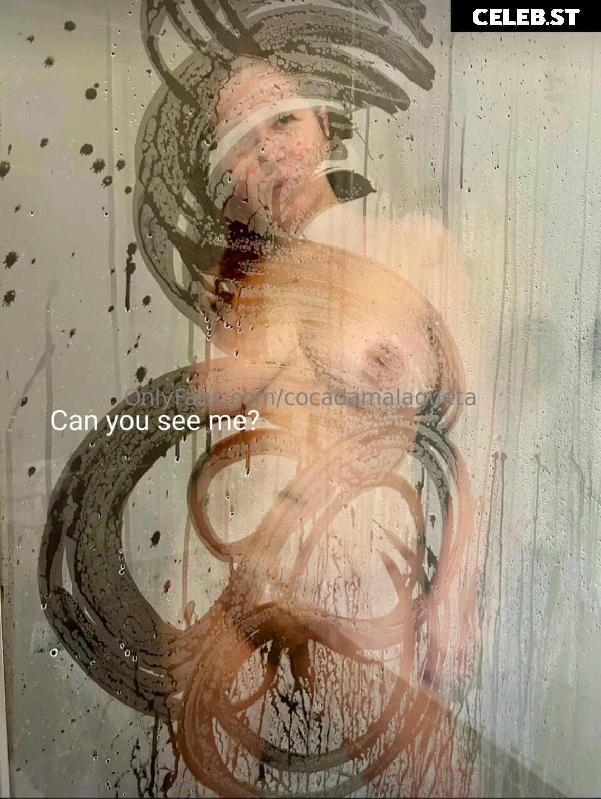 cocadamalagueta Image 3020325