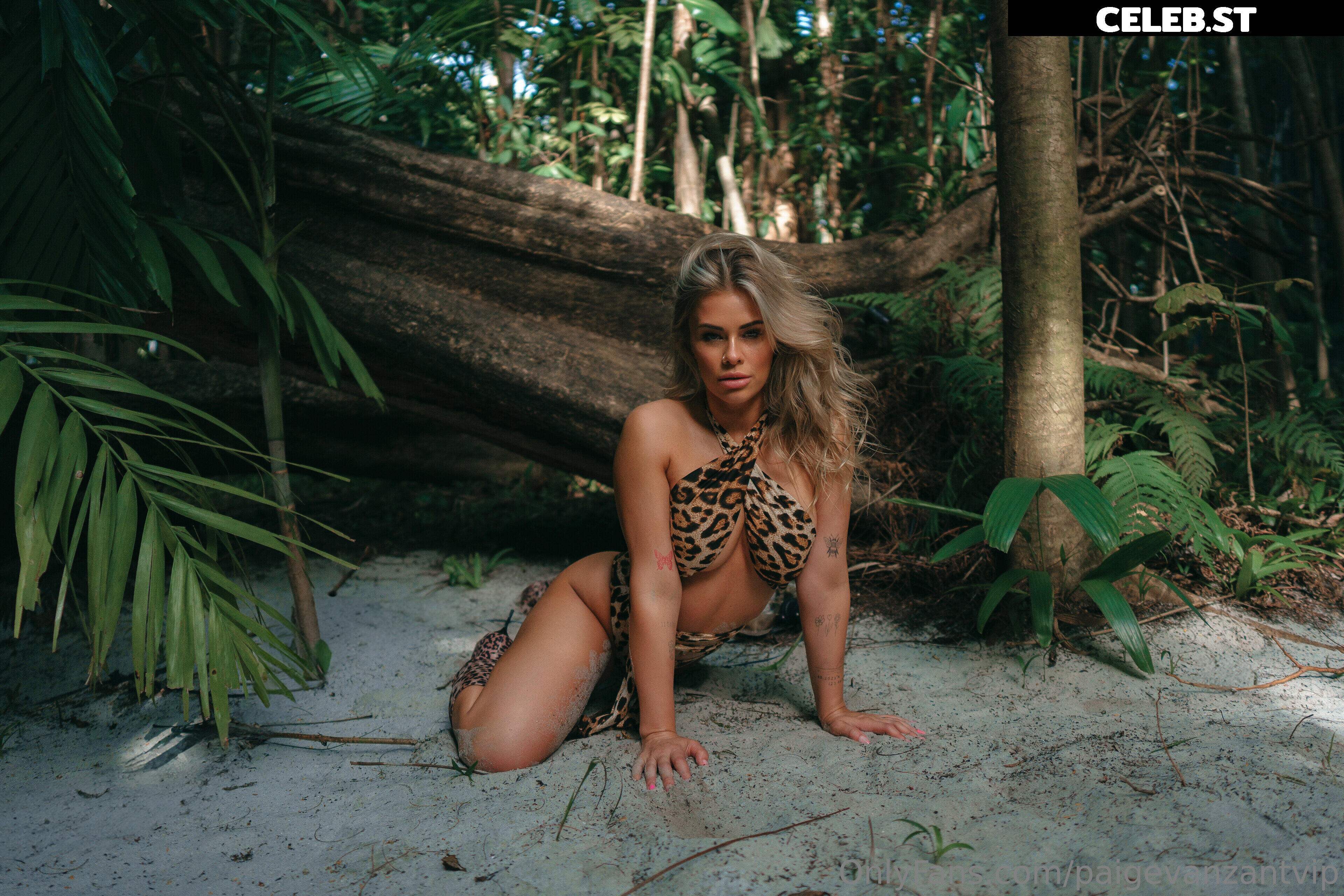 Paige VanZant Image 3015875