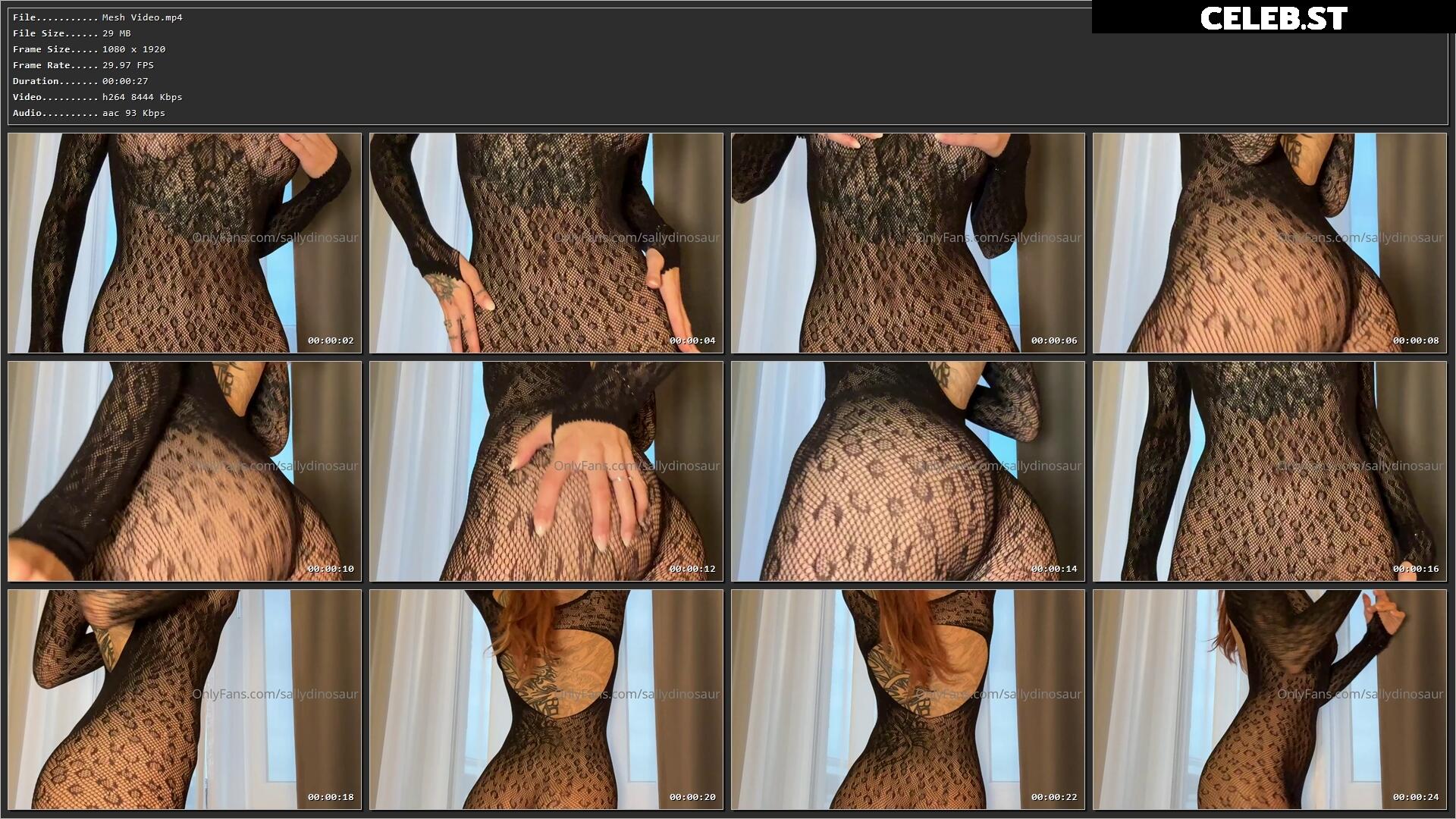 Sallydinosaur Image 3017850