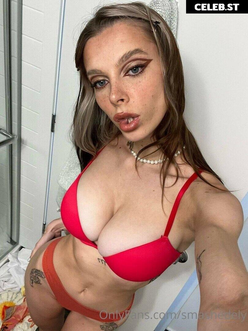 Smashedely Image 3014799