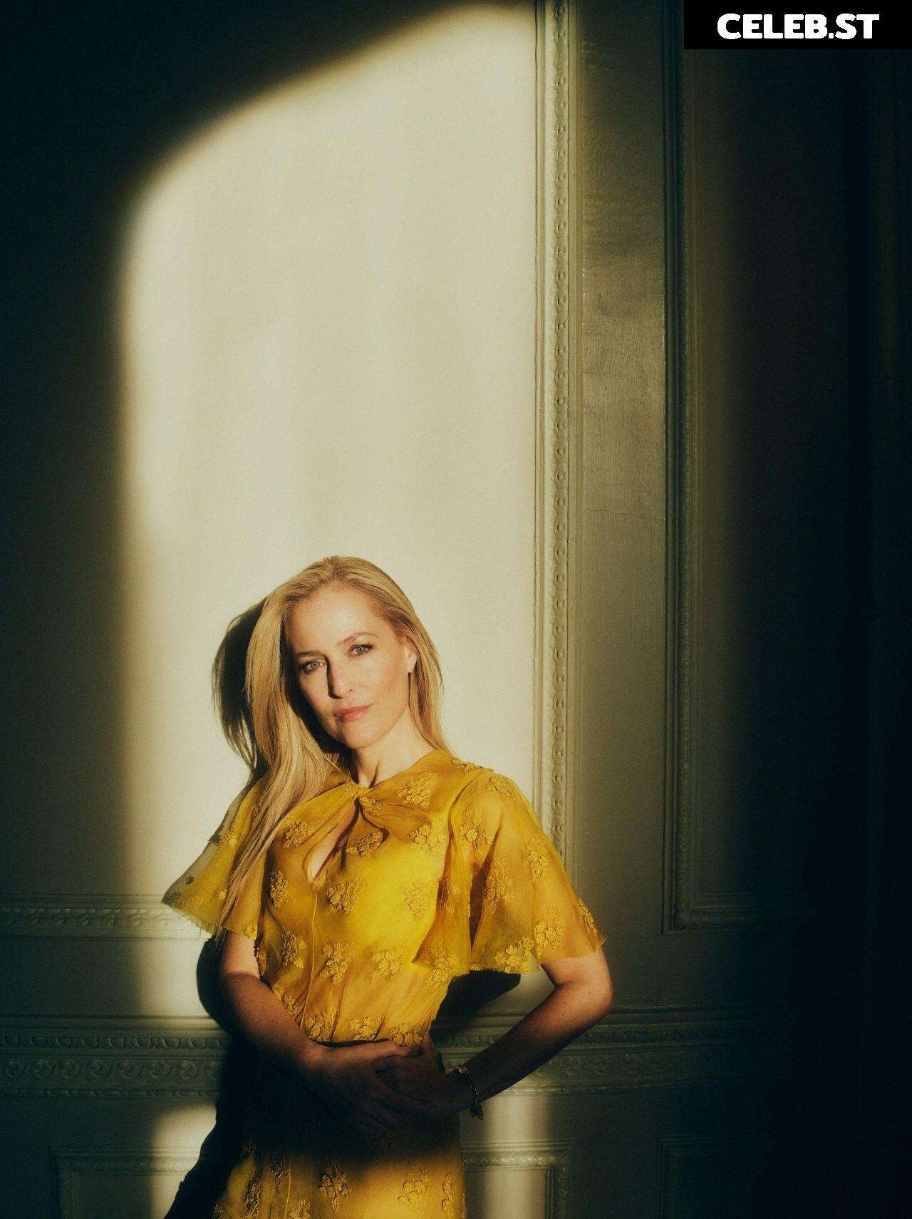 Gillian Anderson Image 3006533