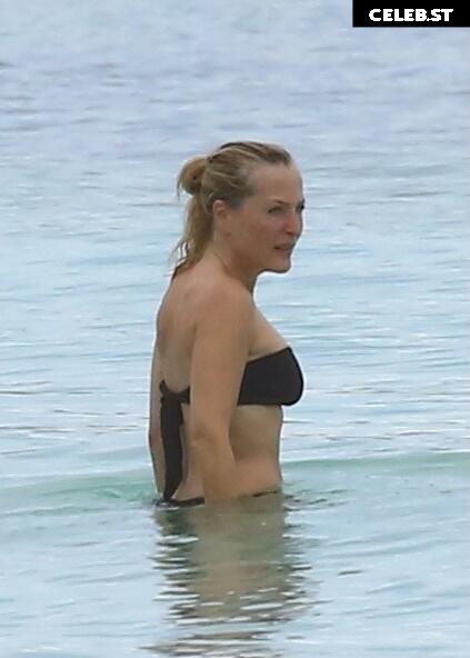 Gillian Anderson Image 3007765