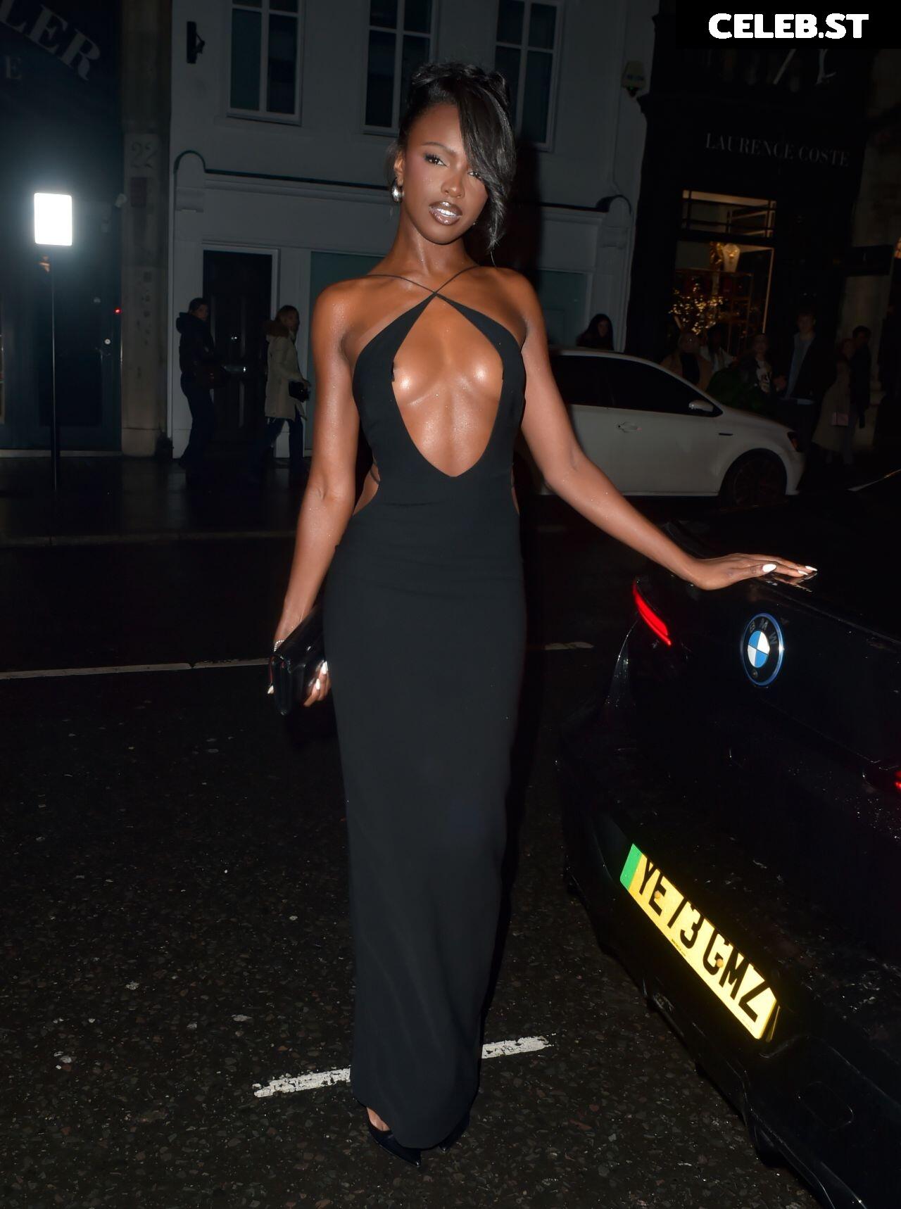 Leomie Anderson Image 3001080