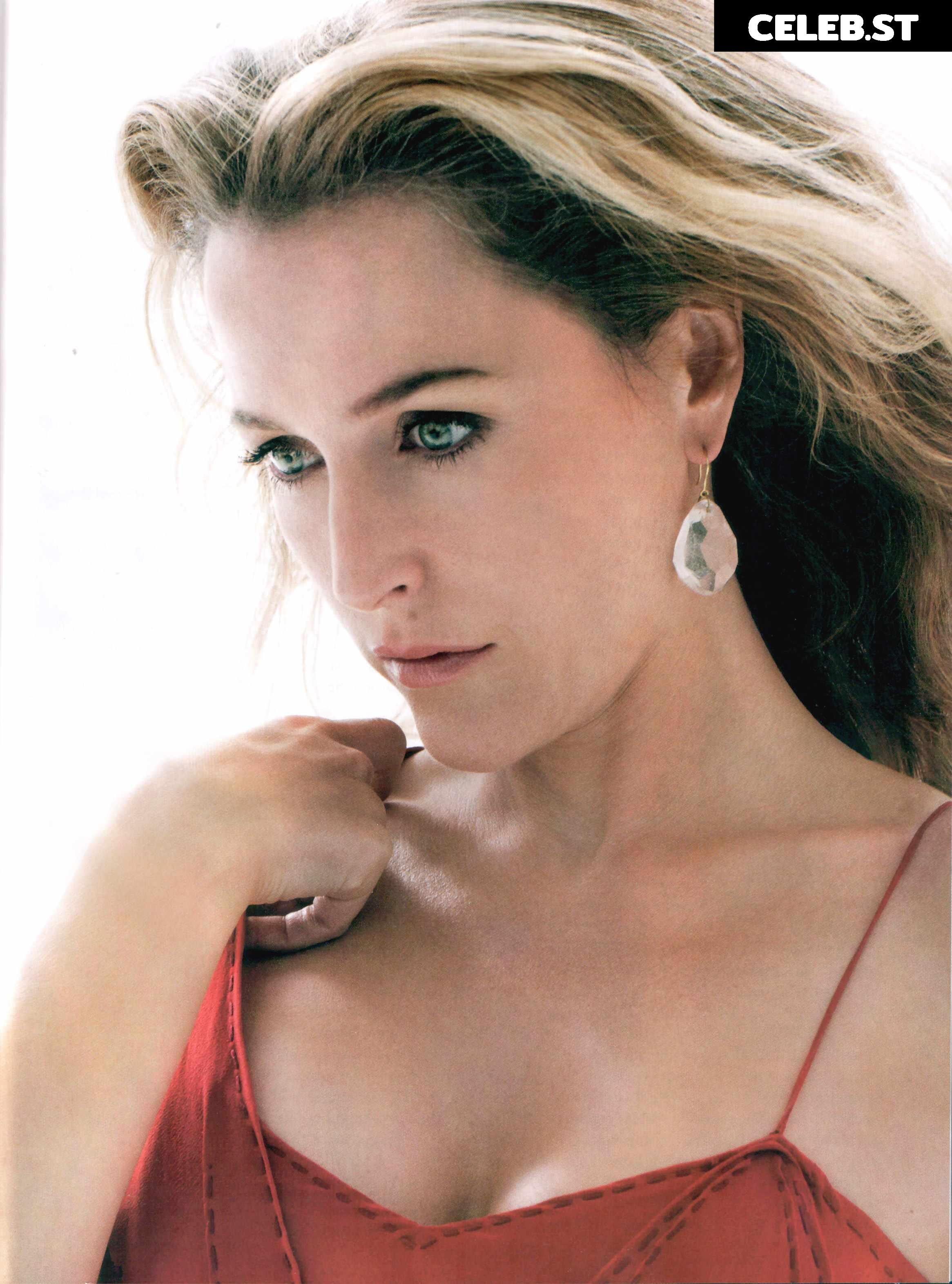 Gillian Anderson Image 3003539