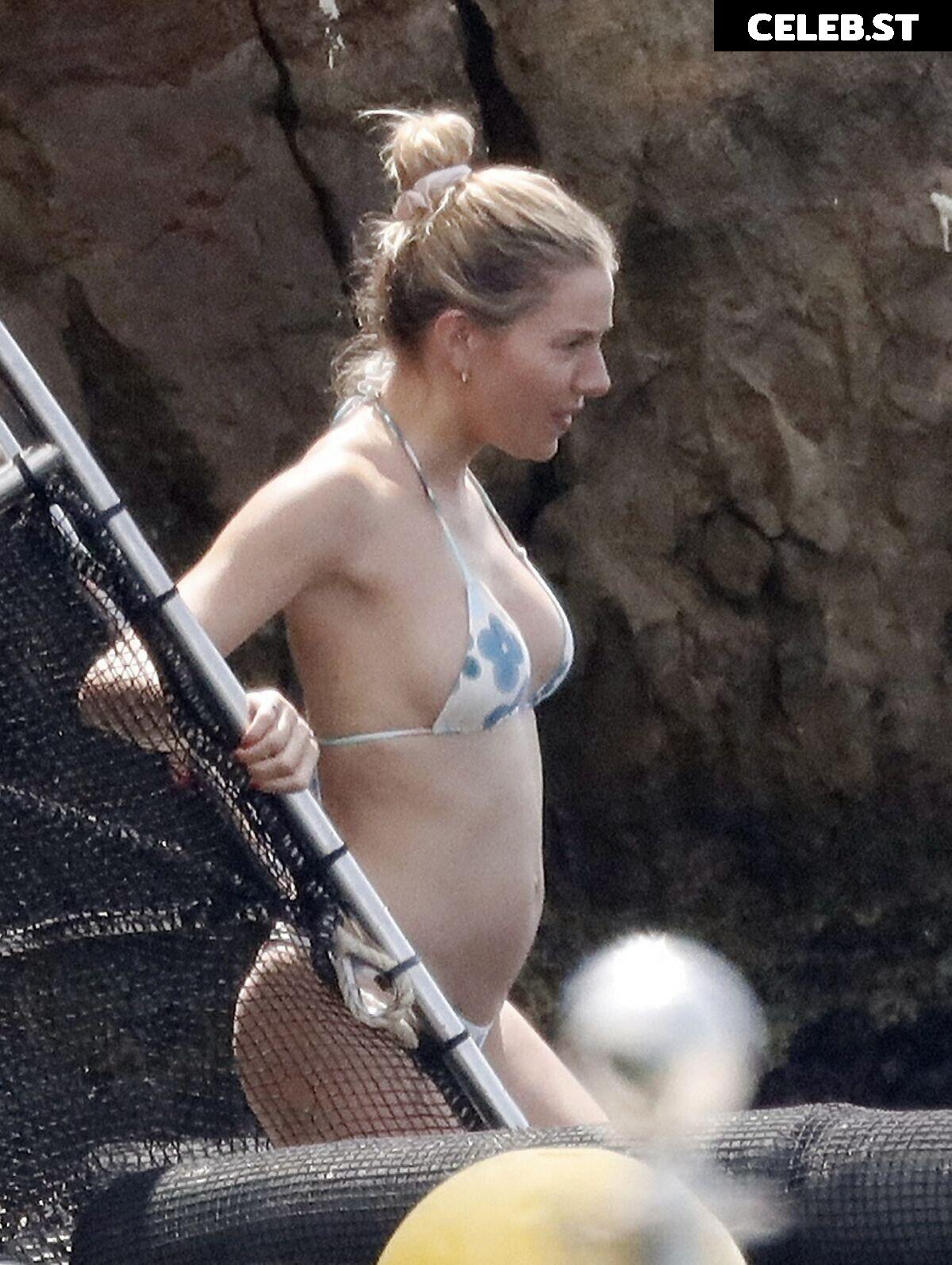 Sienna Miller Image 3009204