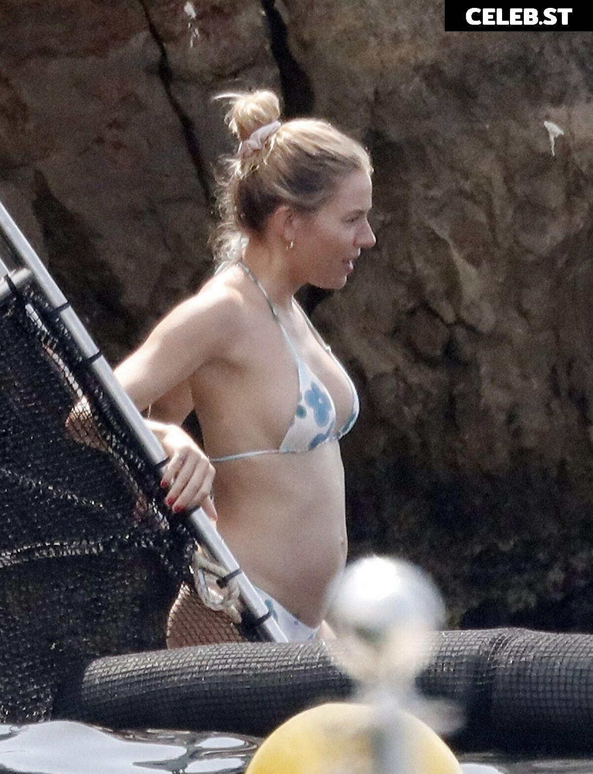 Sienna Miller Image 3009230