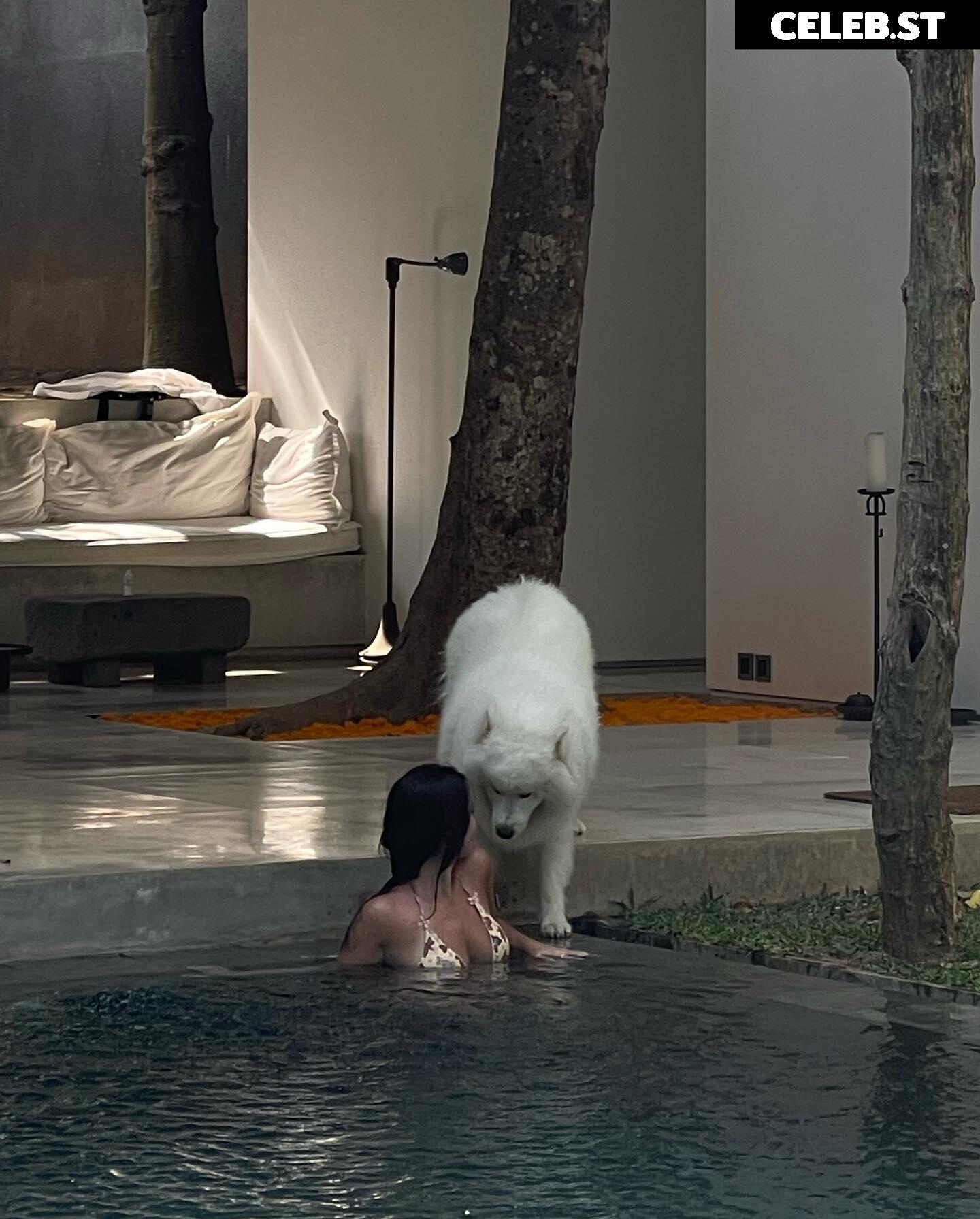 Diana Kaloev Image 620301