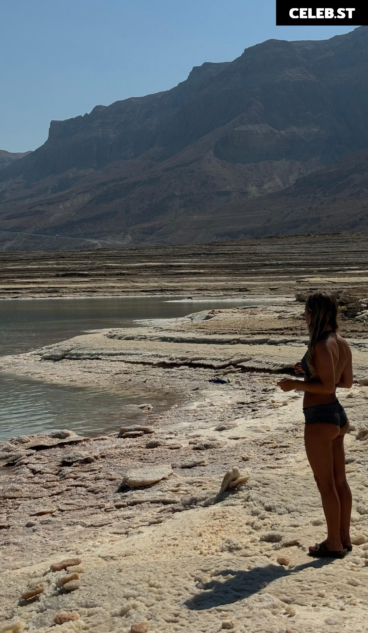 Shira Braun Image 632561