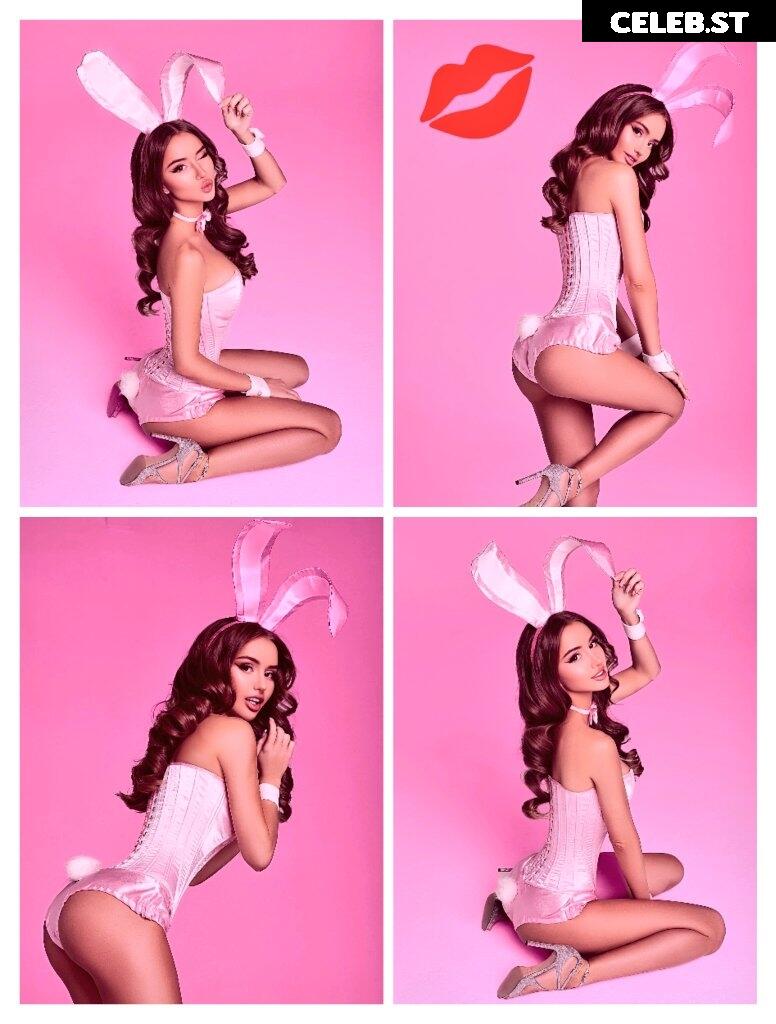 Valenti Vitell Image 630027