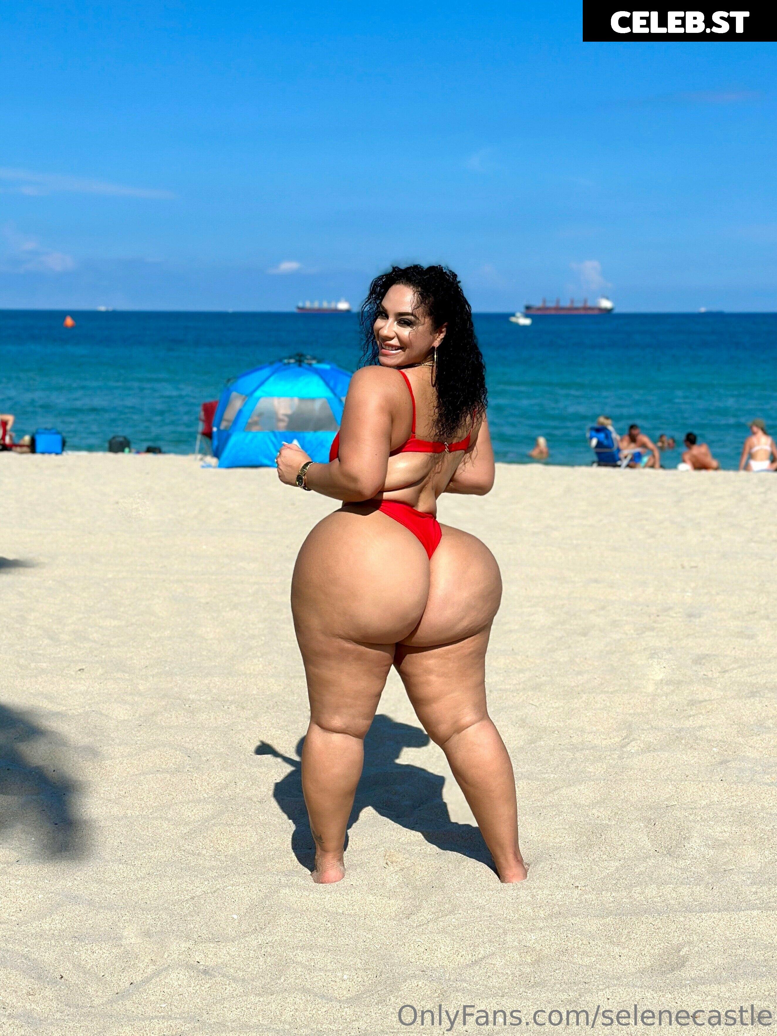 Selene Castle Image 630091