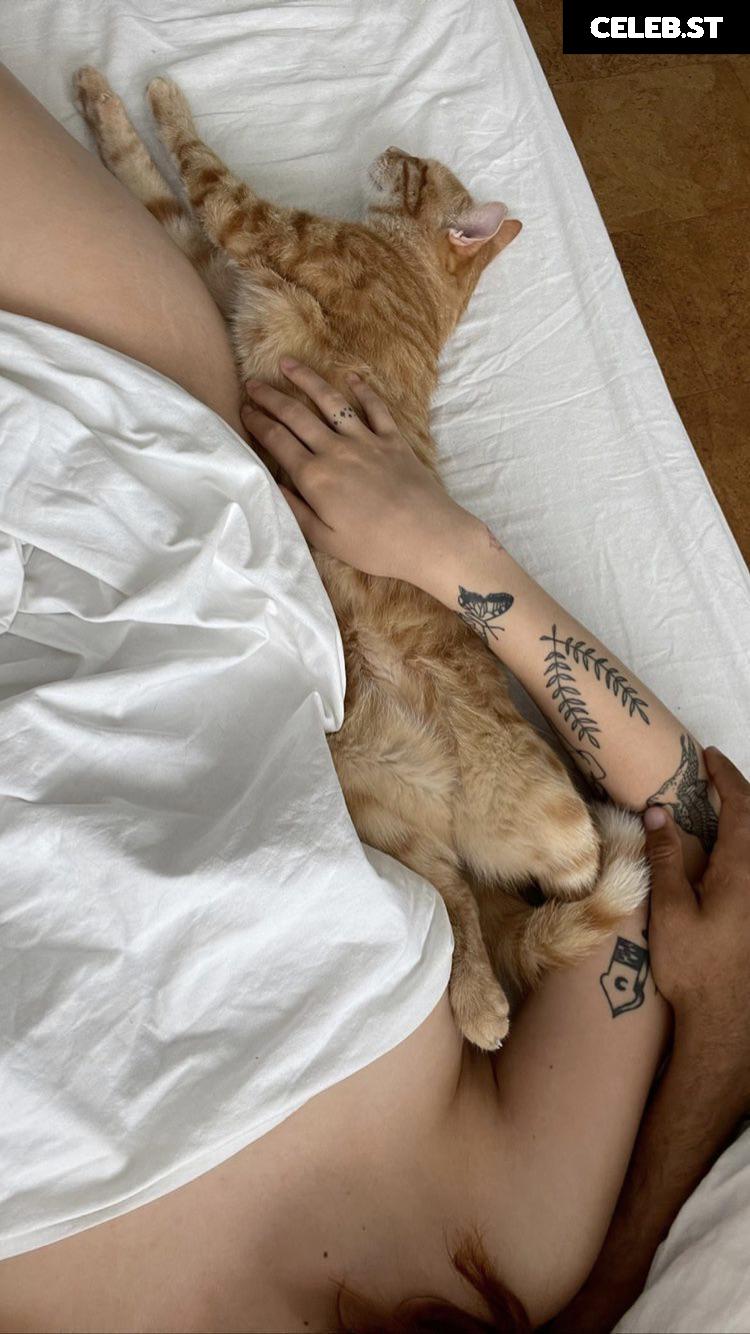 whosrobin Image 647098