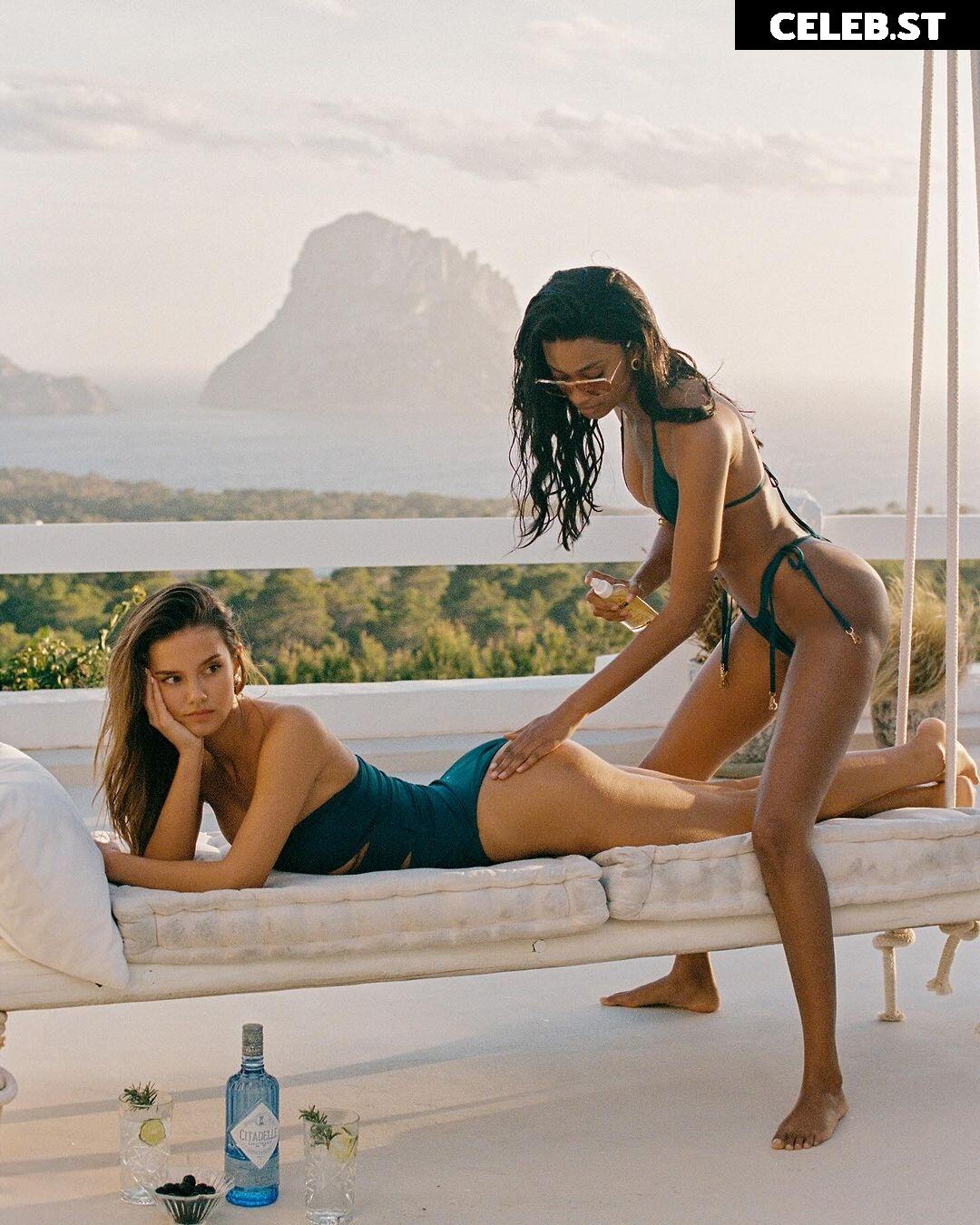 Nicola Cavanis Image 640314