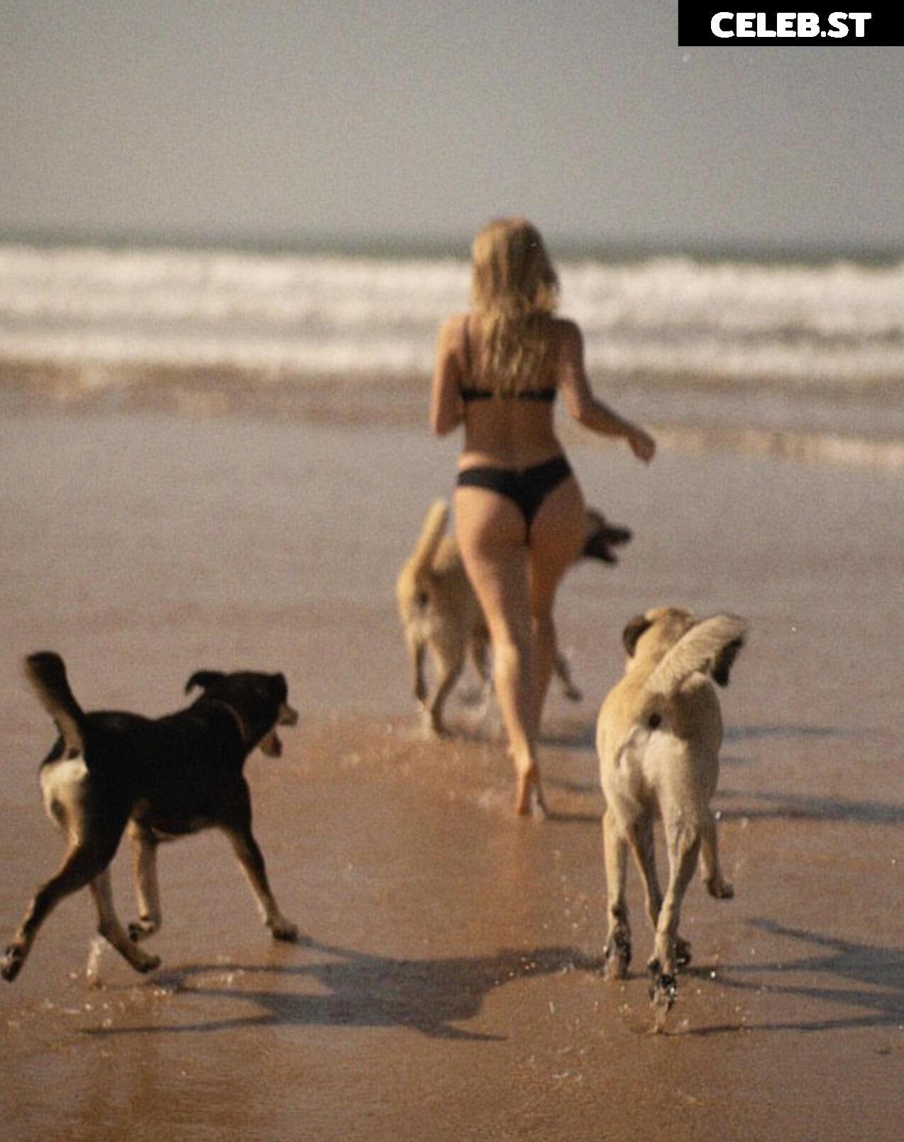 luisemorgen Image 640057