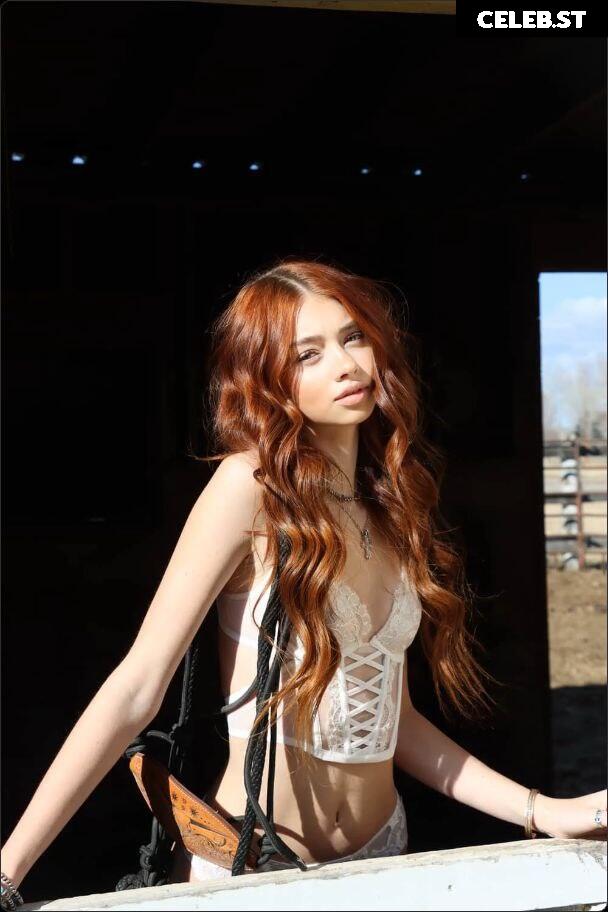 Sicily Rose Image 655960