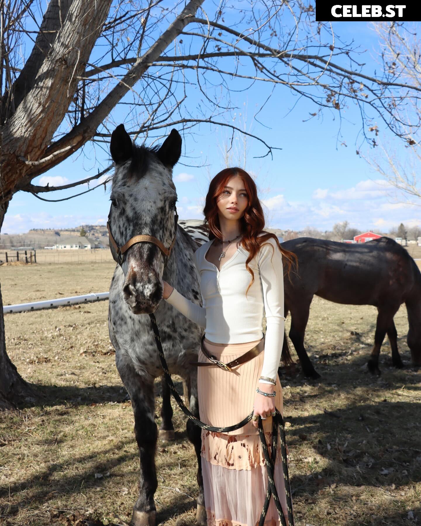 Sicily Rose Image 654624