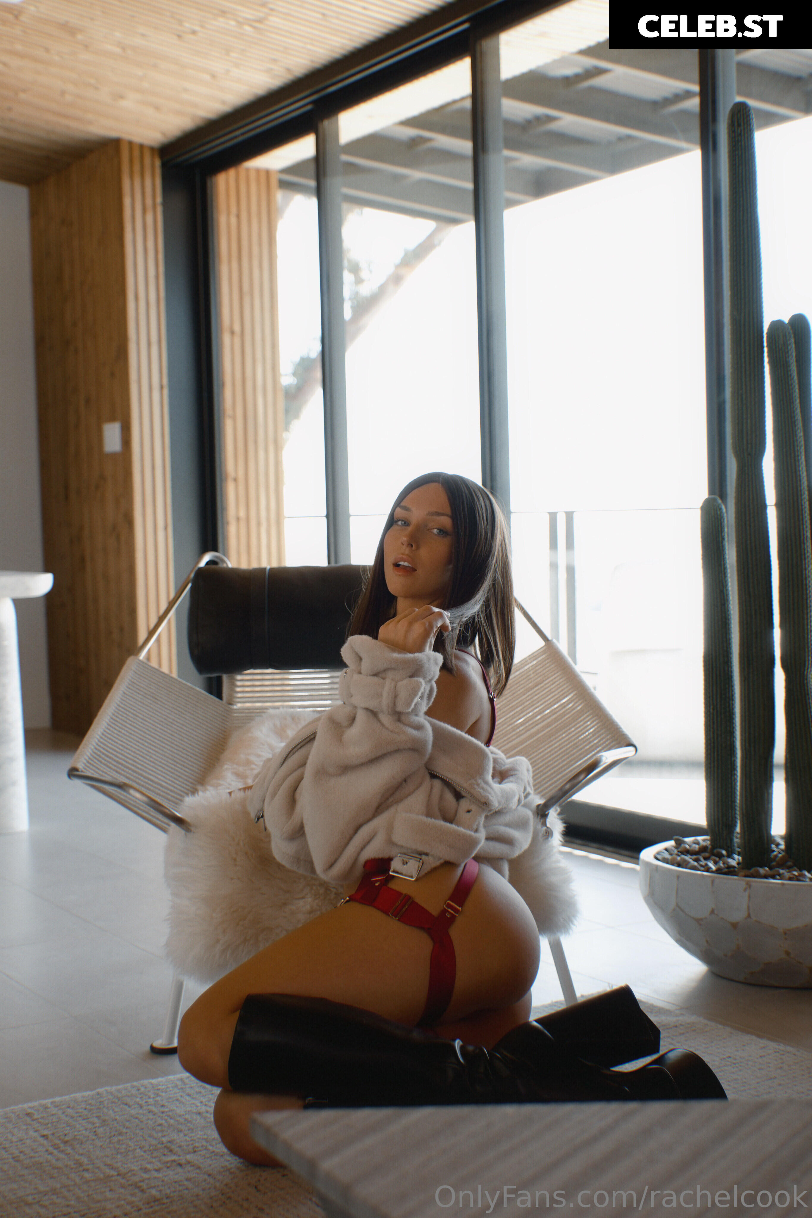 Rachel Cook Image 666704