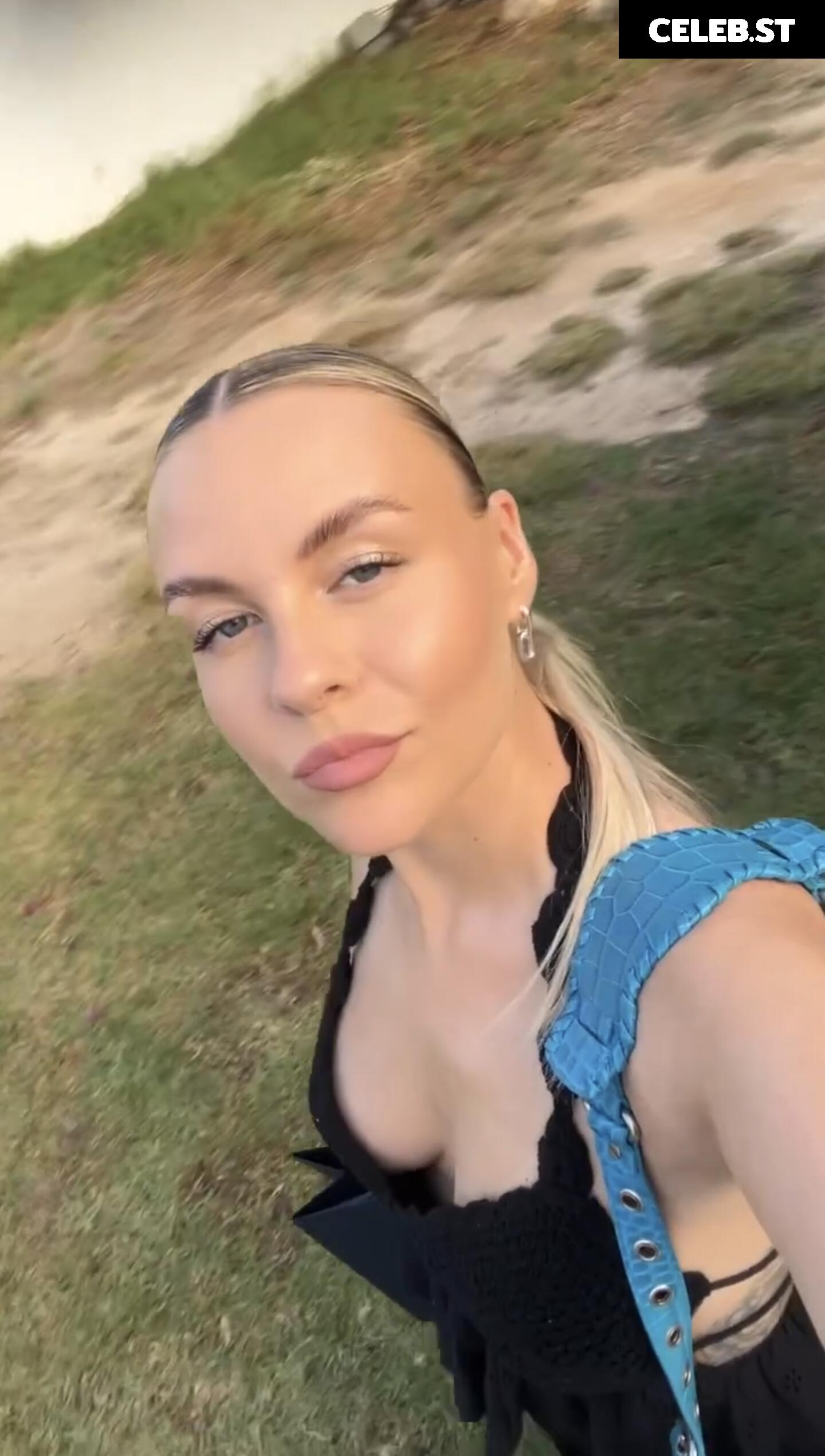 Dagi Bee Image 662286