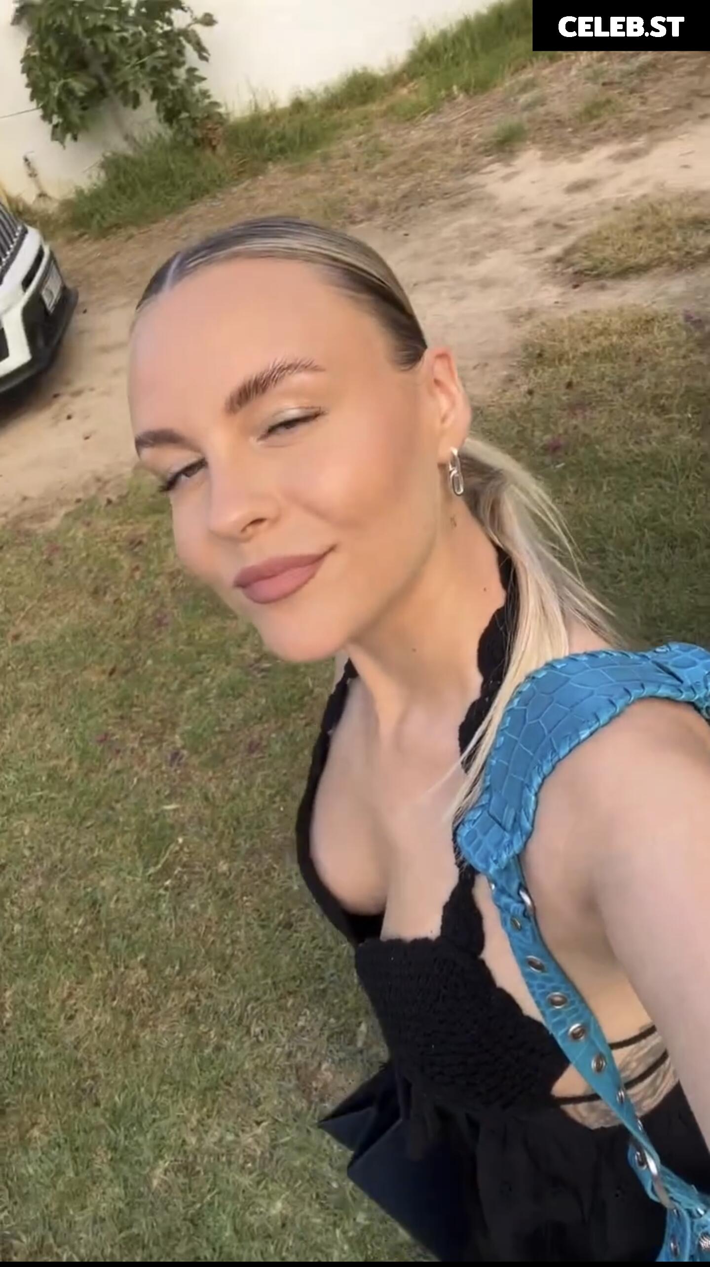 Dagi Bee Image 662324