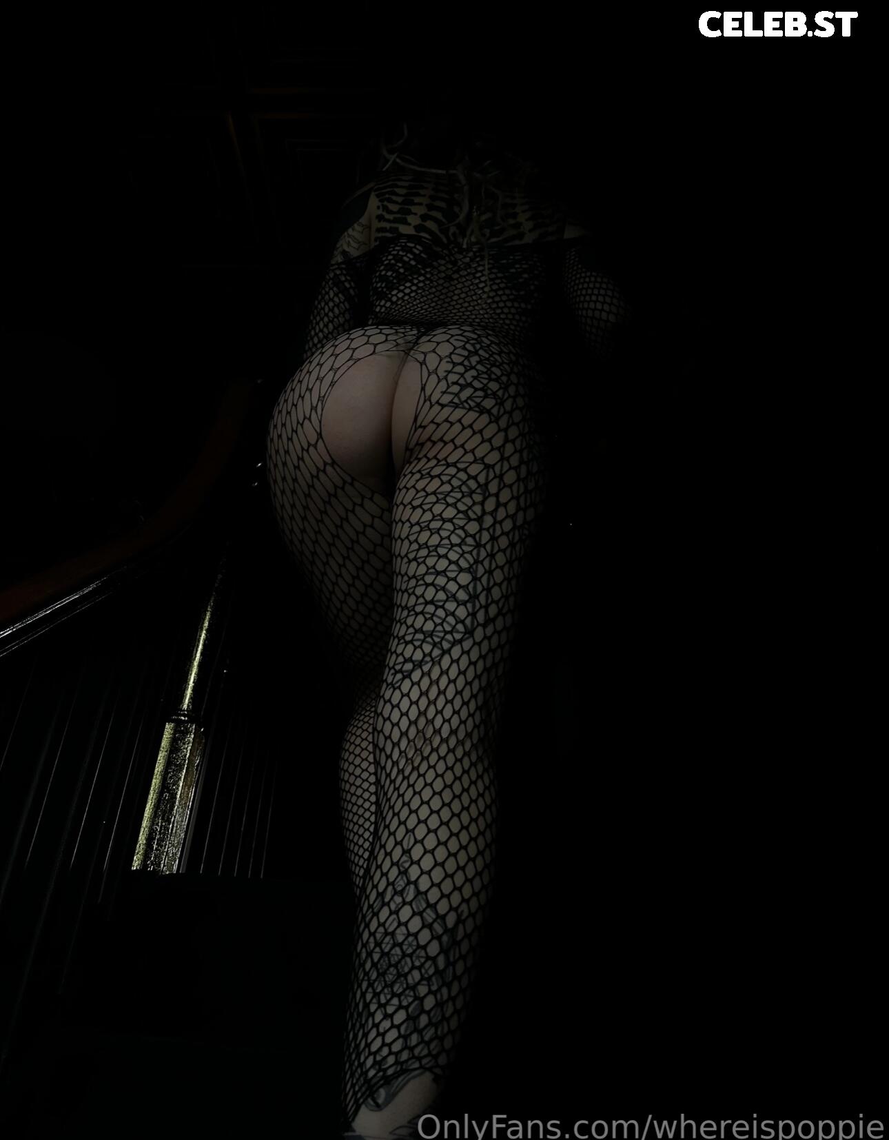 Whereispoppie Image 678203