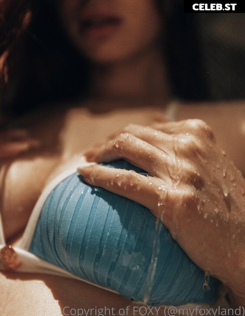 withlovefoxy Image 672535