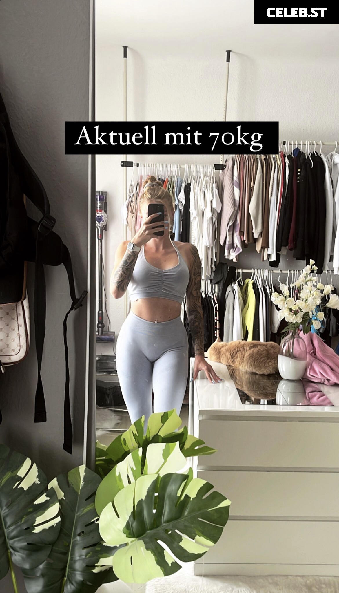 Knatternatter Image 672476