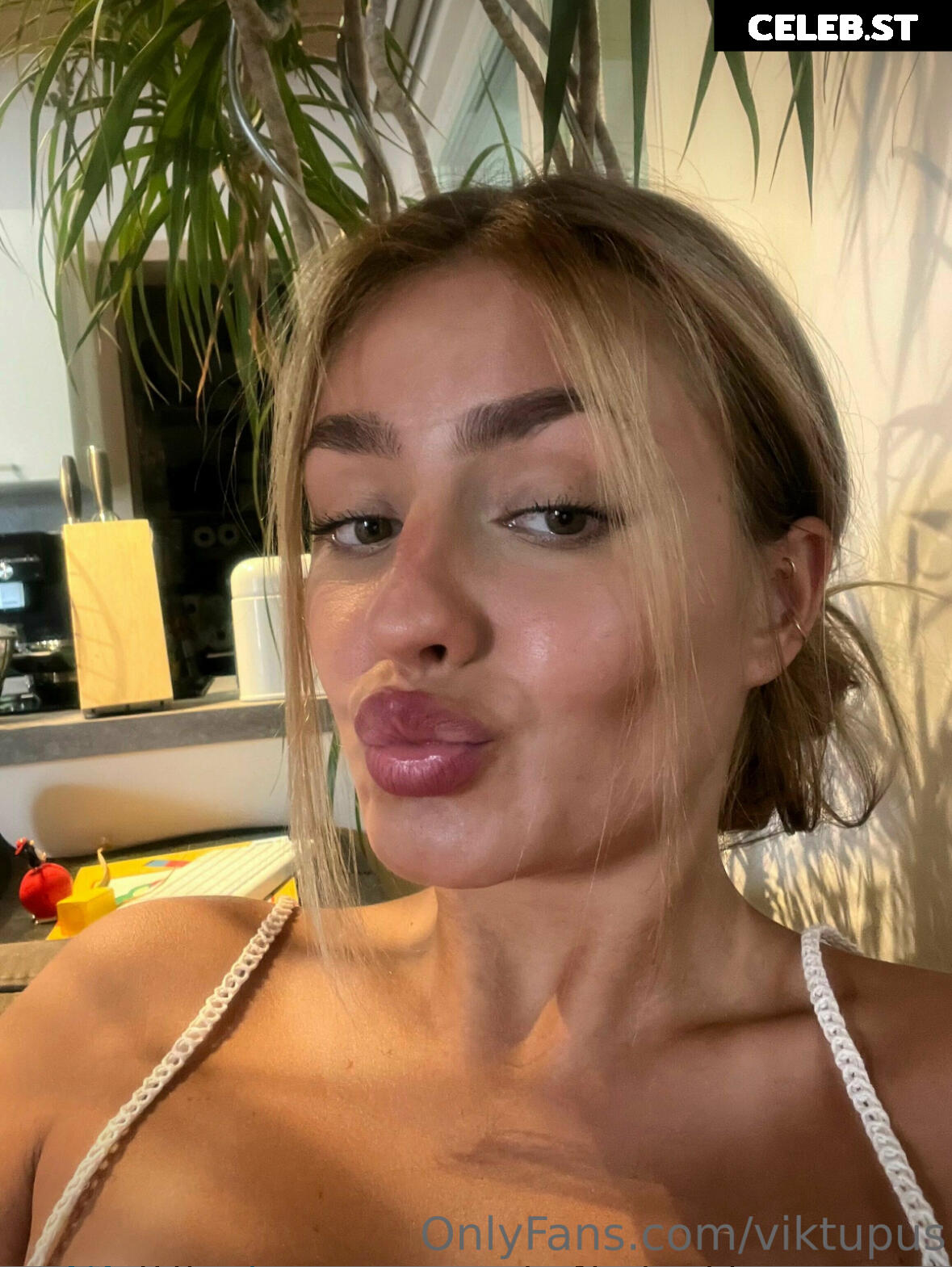 viktupus Image 607632