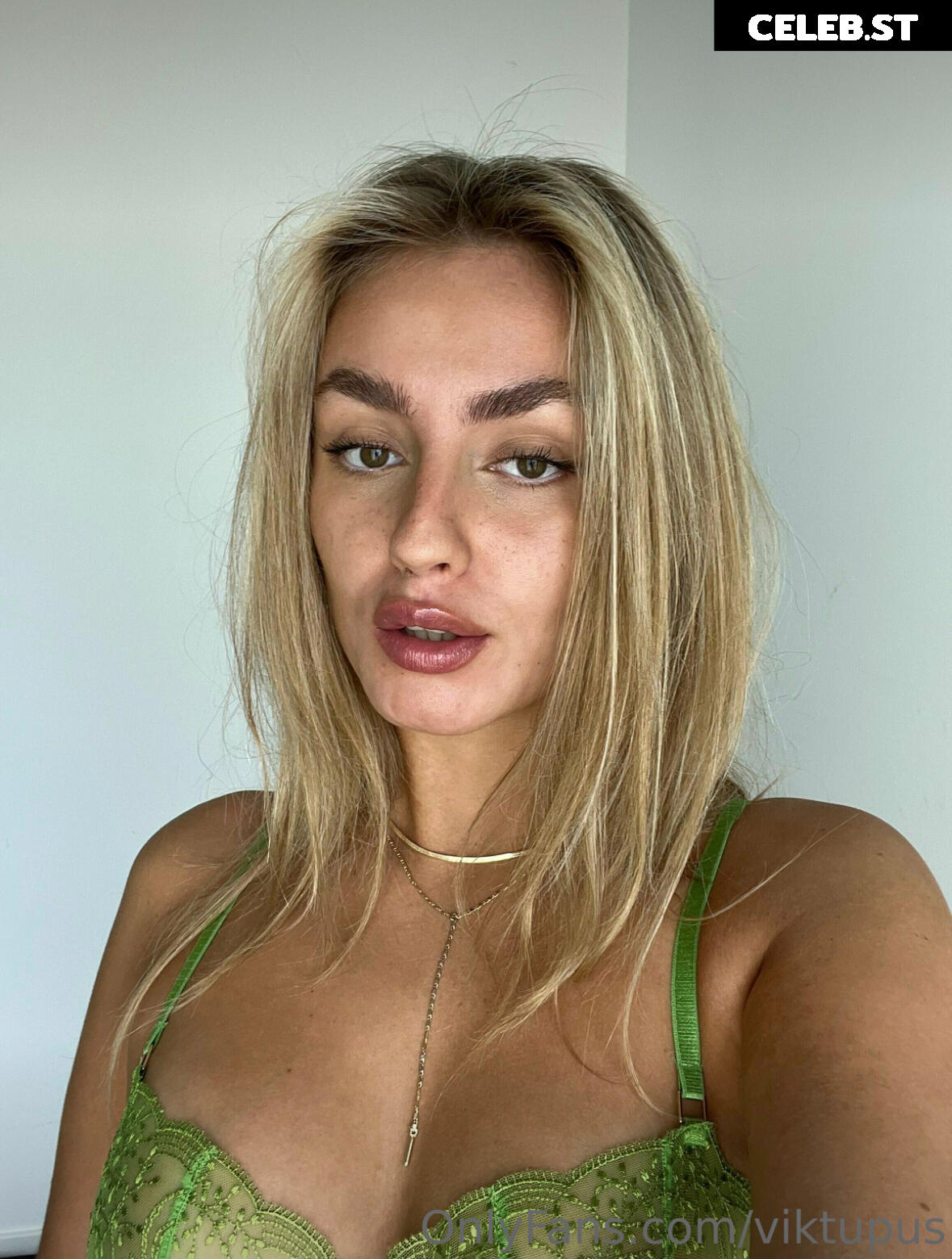 viktupus Image 607761