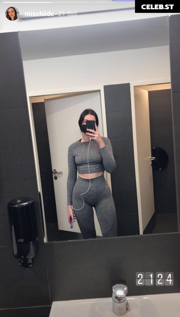 mischiidc Image 604624