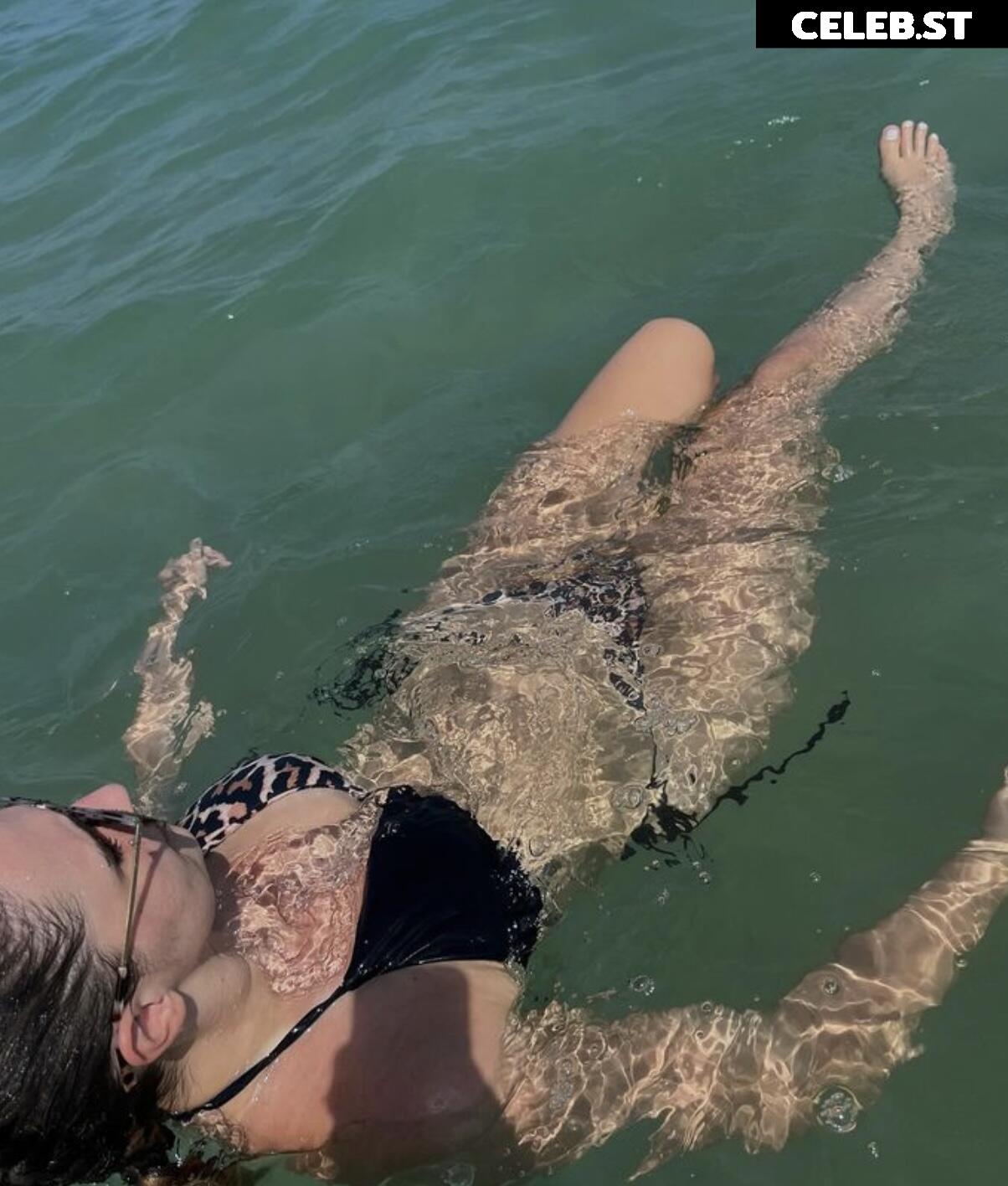 mischiidc Image 604988